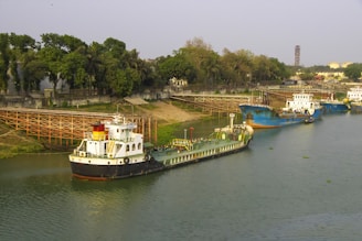 a river filled with lots of boats next to a forest