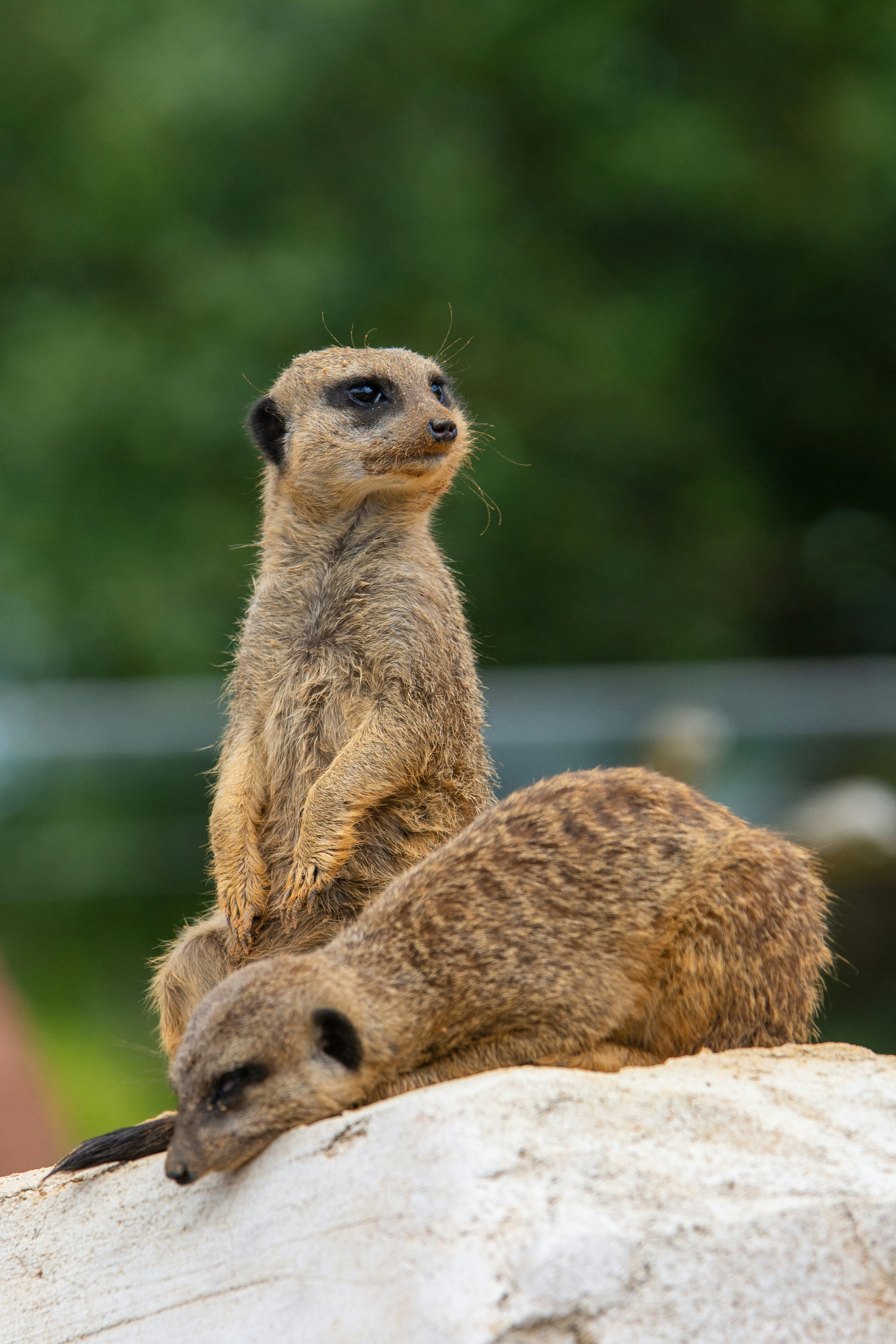 Photo by daniphotographie