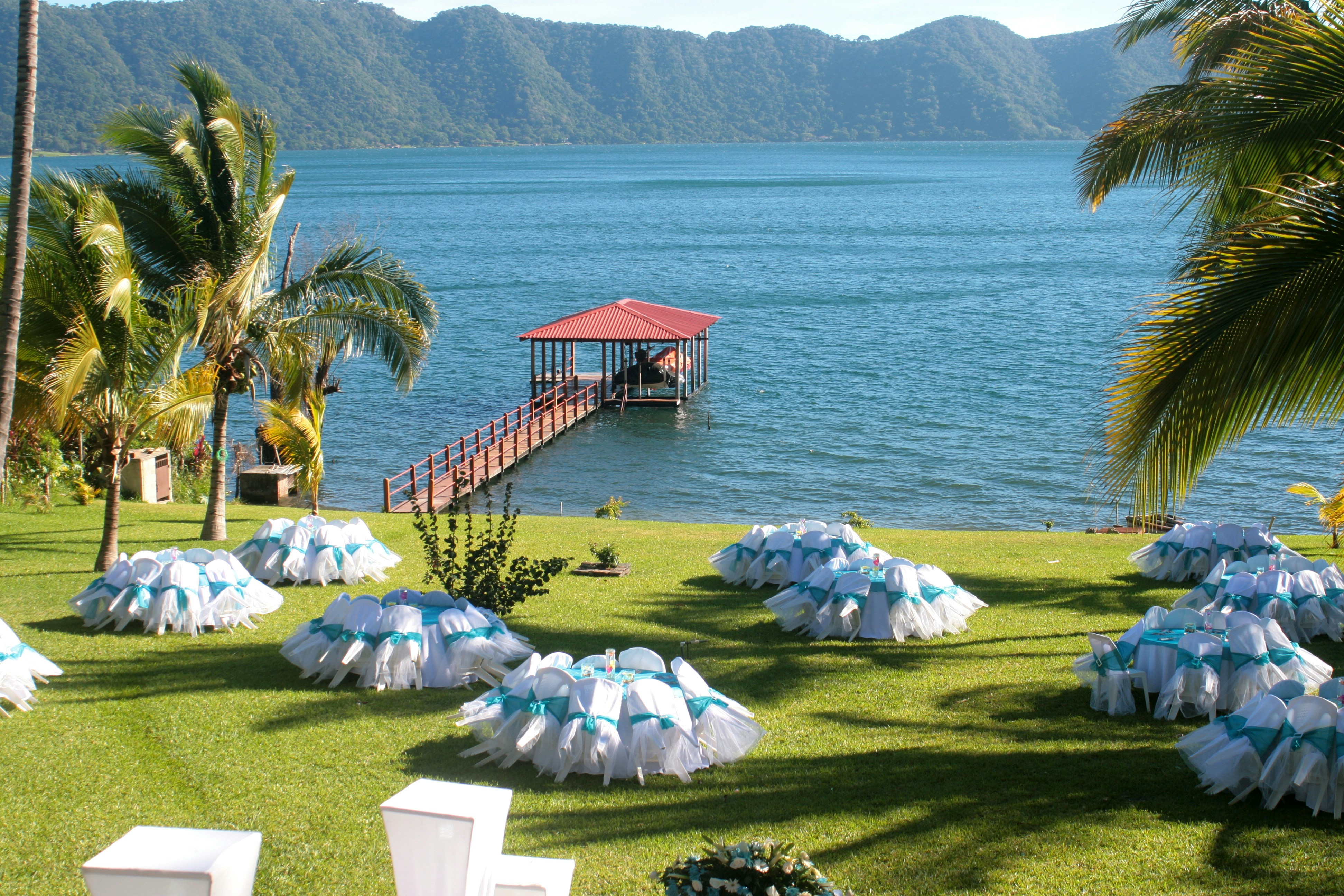 a bunch of umbrellas that are sitting in the grass