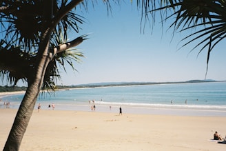 a group of people standing on top of a sandy beach
