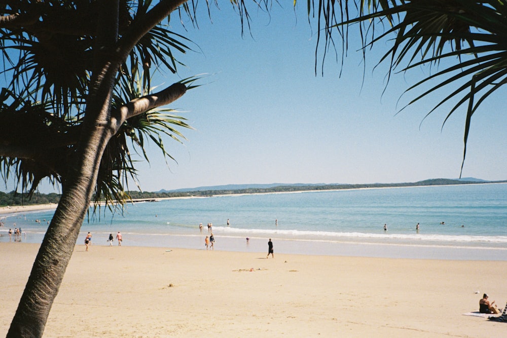 un gruppo di persone in piedi in cima a una spiaggia sabbiosa