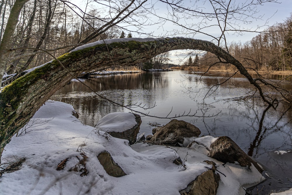 a snow covered river with a bridge in the background