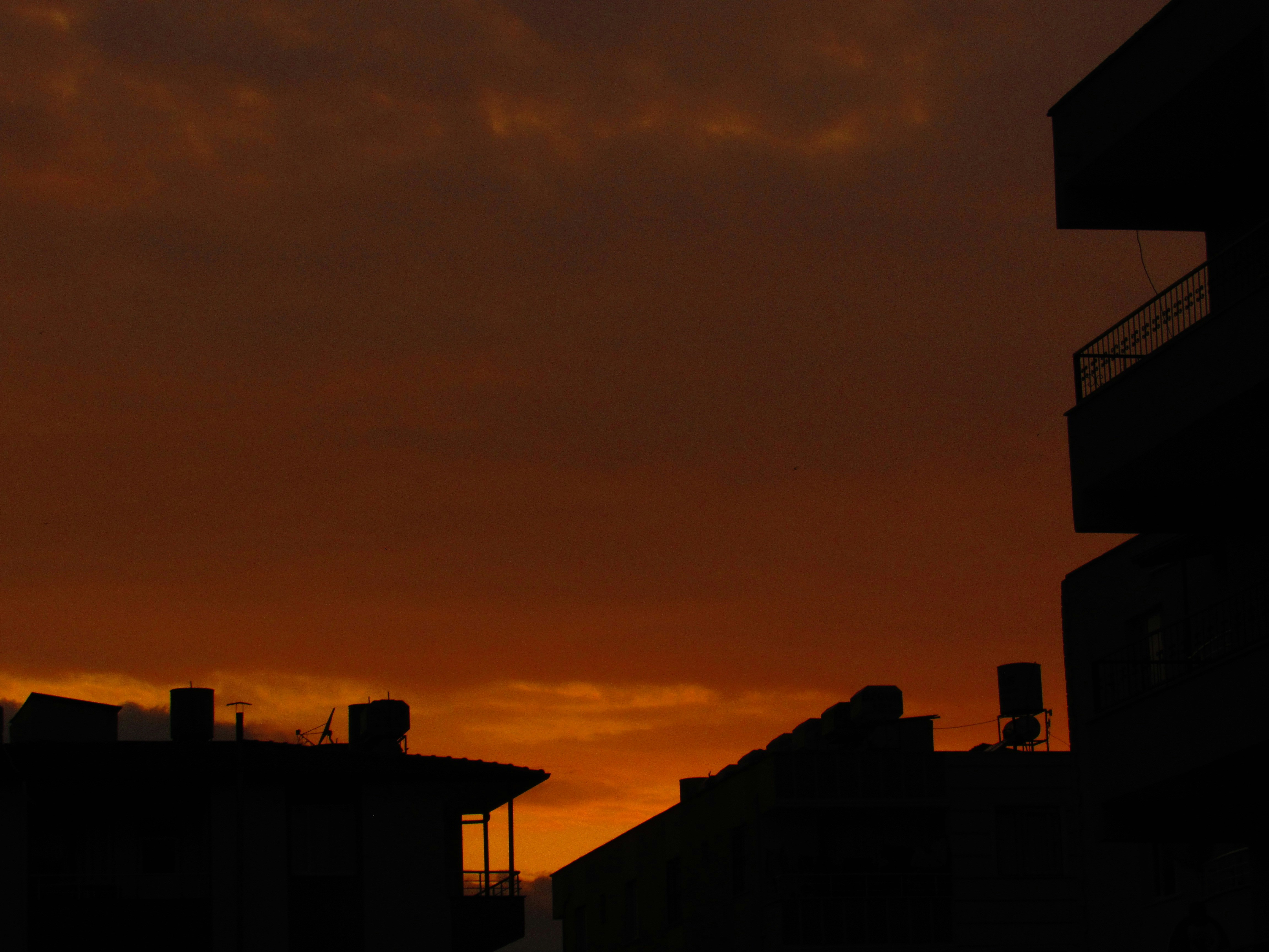 Photo by omarsabra64