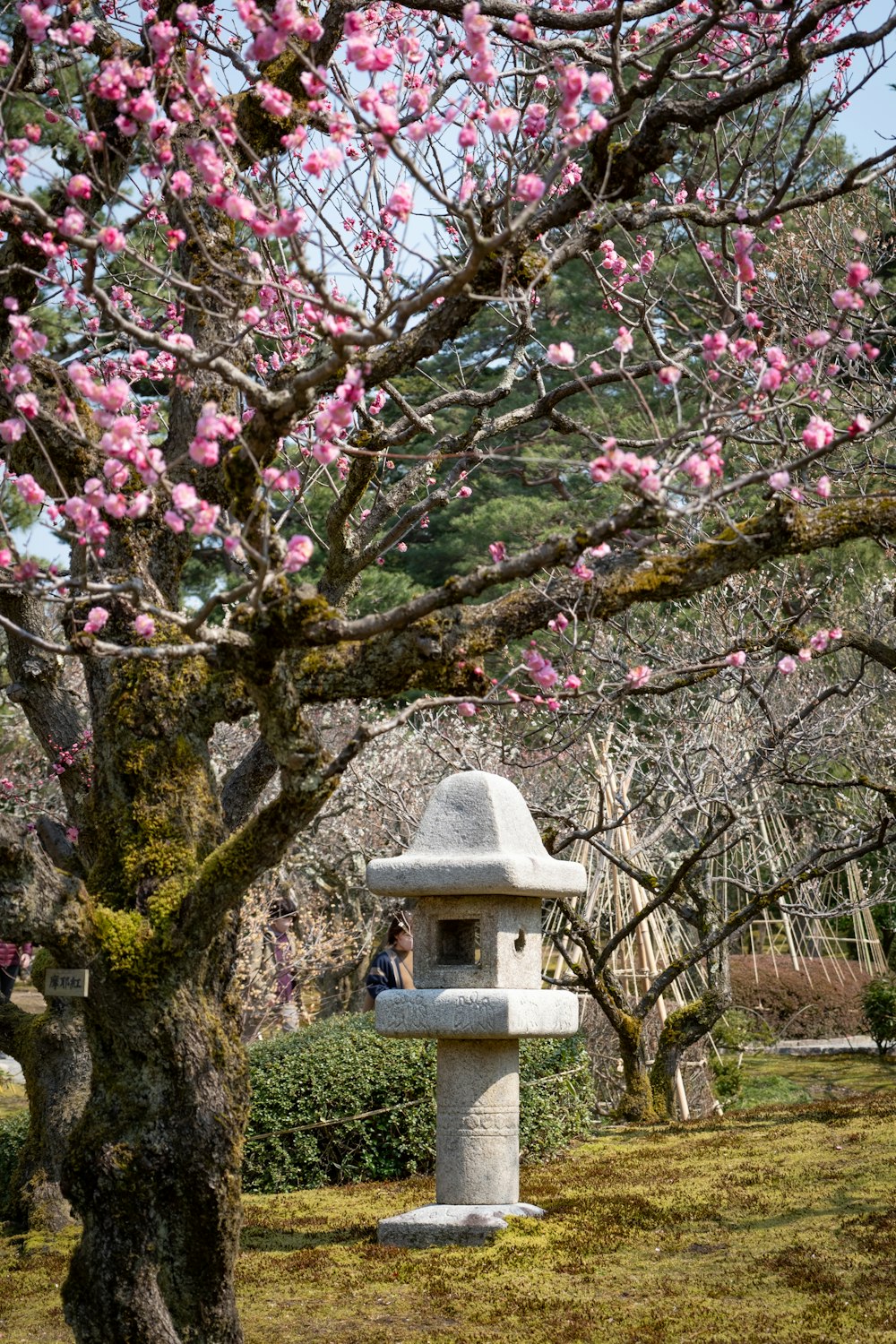 a stone lantern in the middle of a park