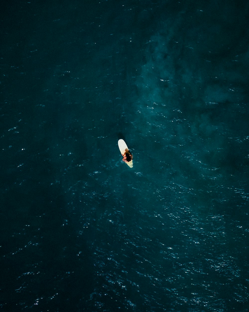 une personne sur une planche de surf au milieu de l’océan