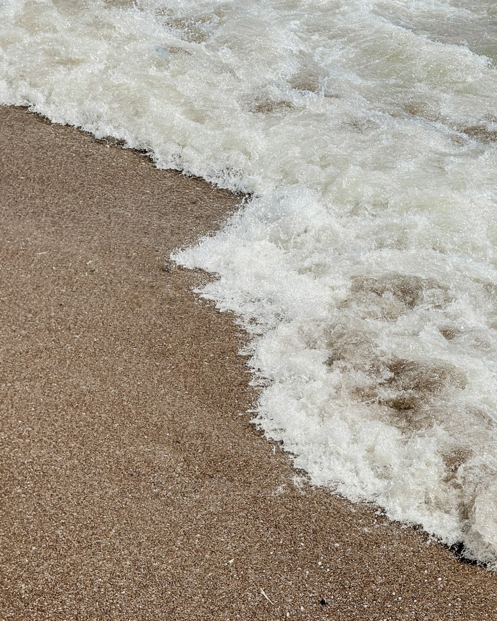 a bird is standing on the beach near the water