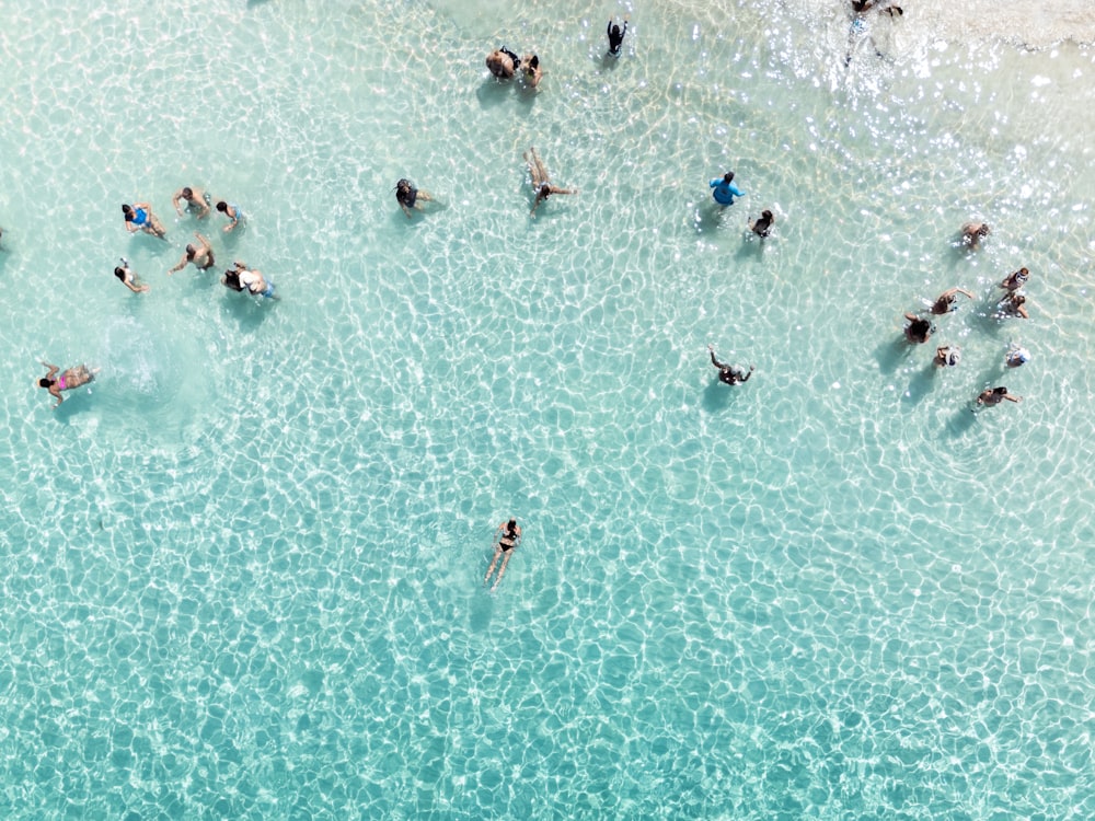 a group of people swimming in a body of water