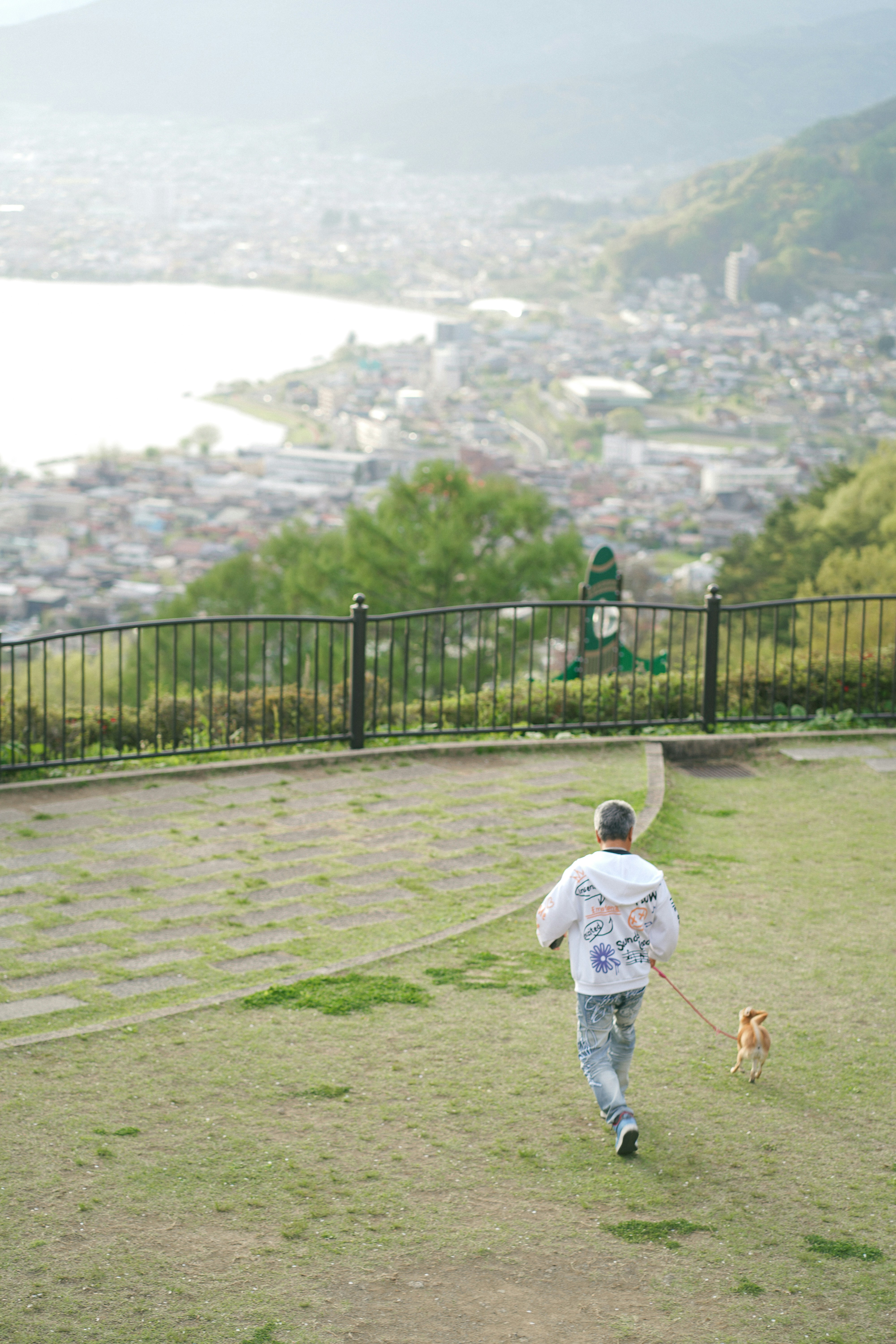 Dog walker out on a walk in the park — replace with photo of Aleks