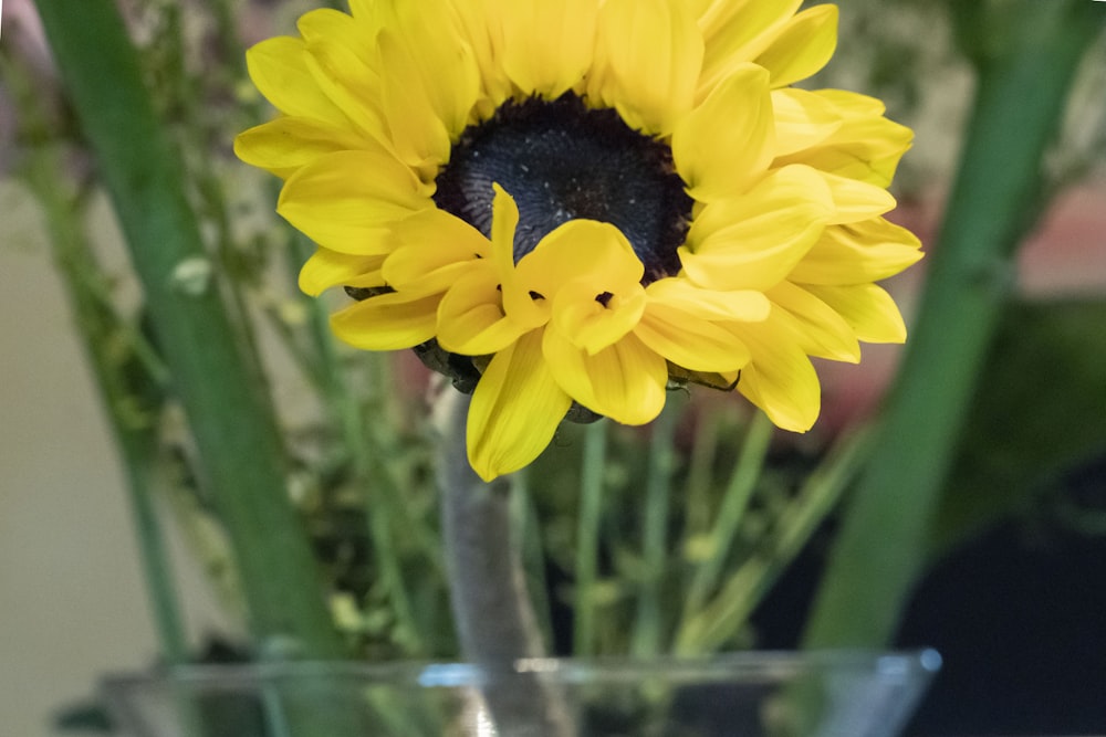 a yellow flower in a clear vase on a table