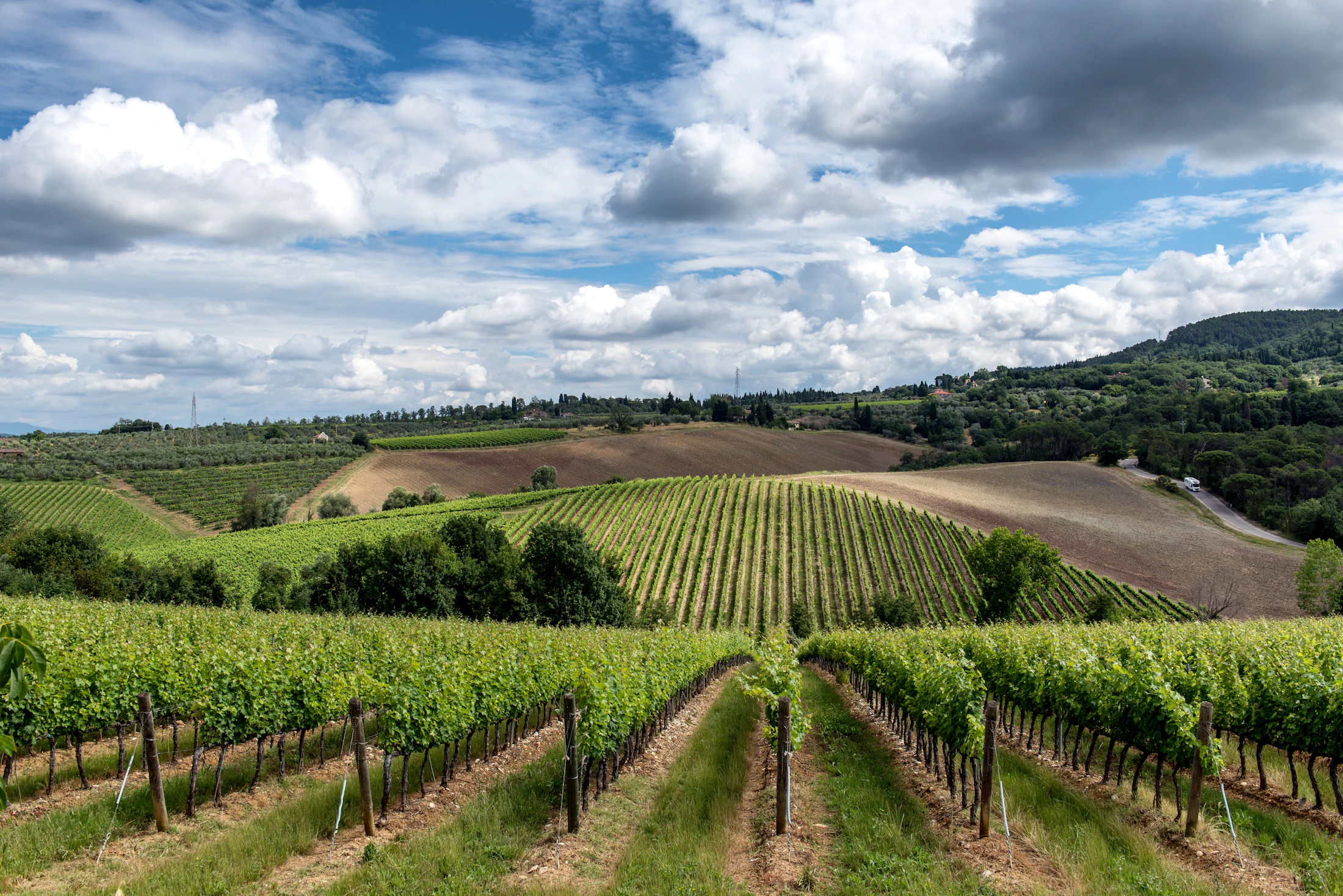Groene wijngaarden en glooiende heuvels in Toscane
