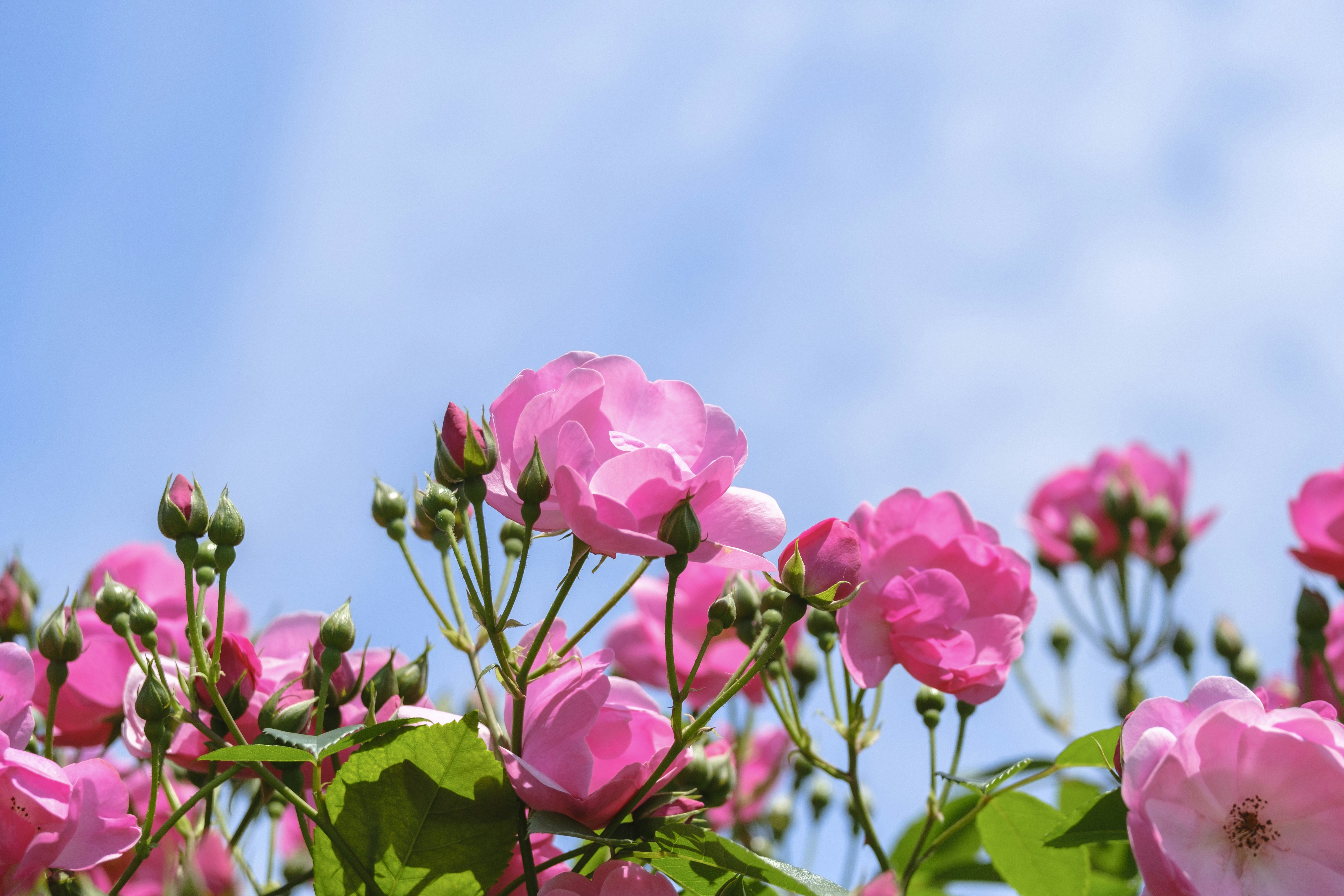 Photo by wenhao_ruan