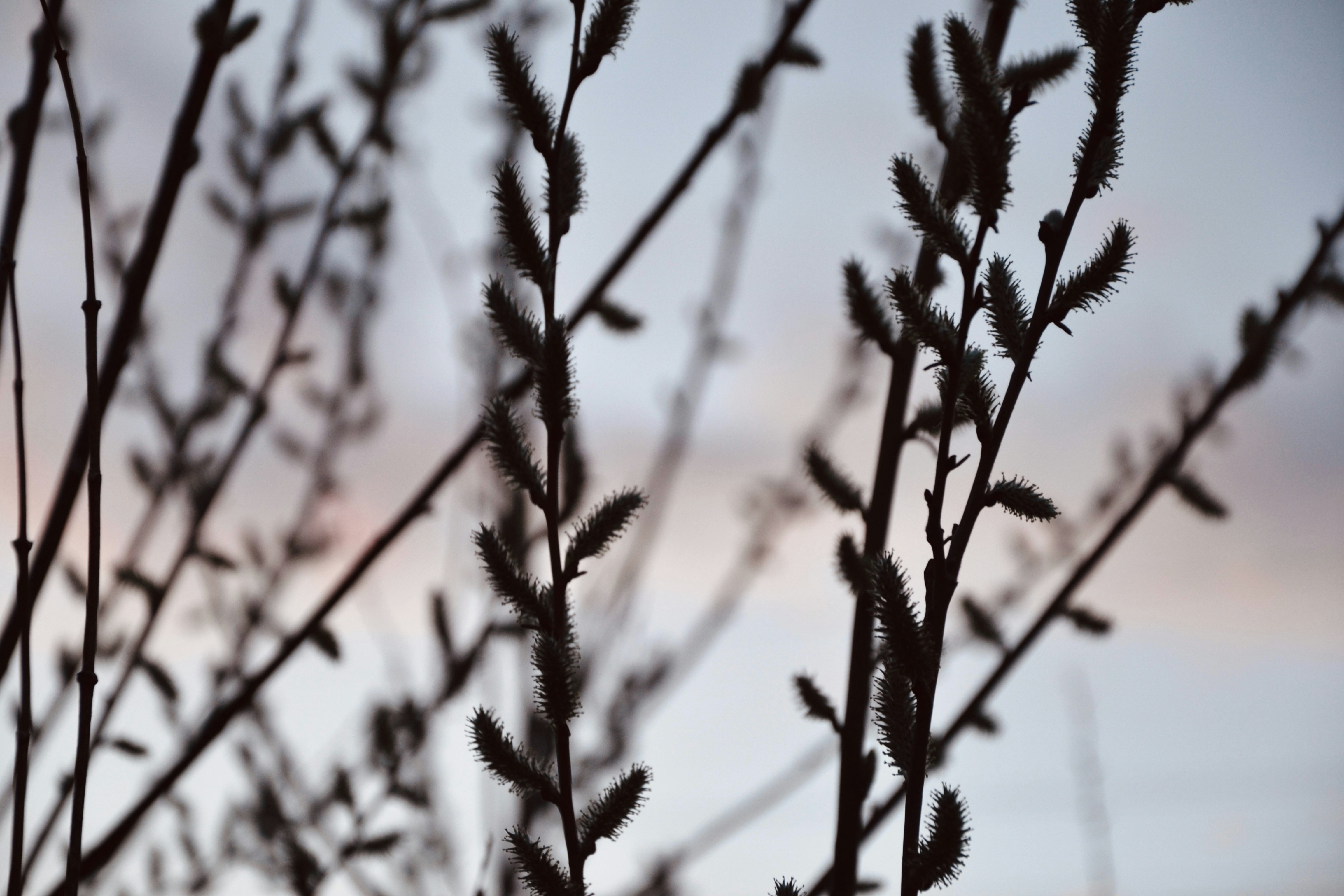 Photo by nastasya_slast