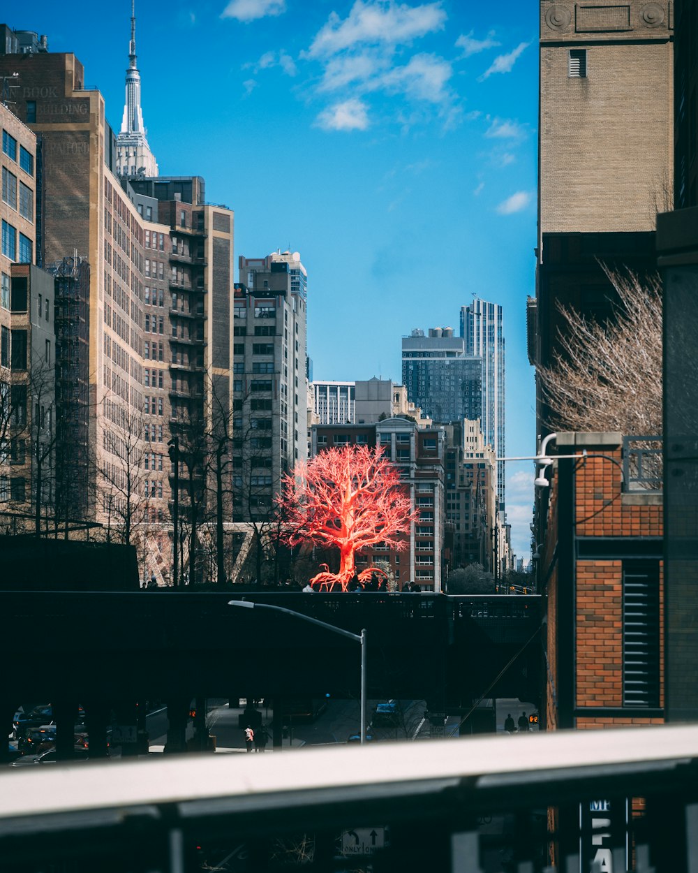 a red tree in the middle of a city
