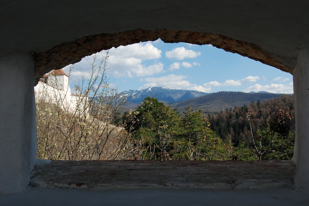 Landscape view of trees, mountains and the Râșnov Citadel through a window.
