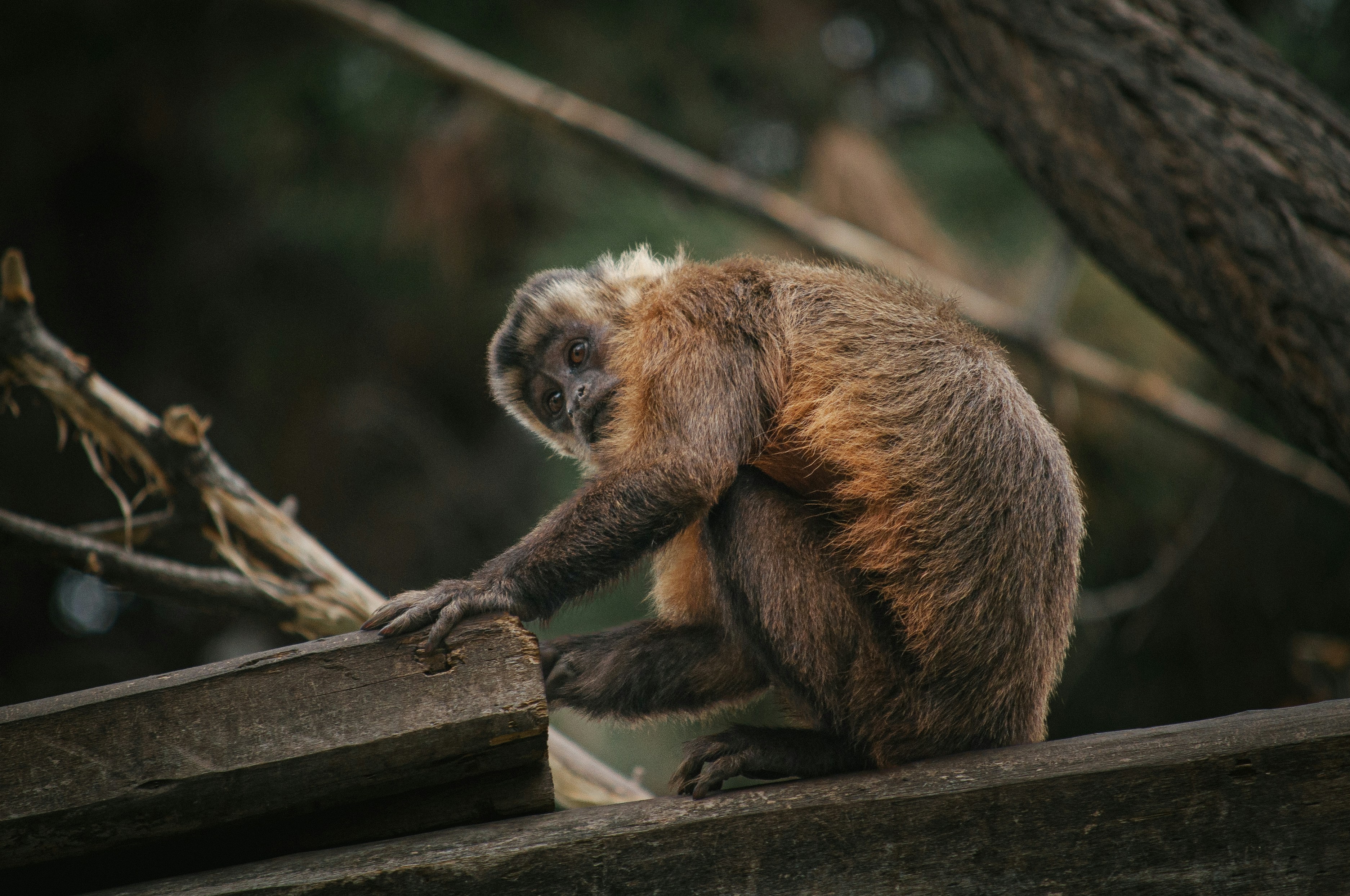 Photo by davidvilches