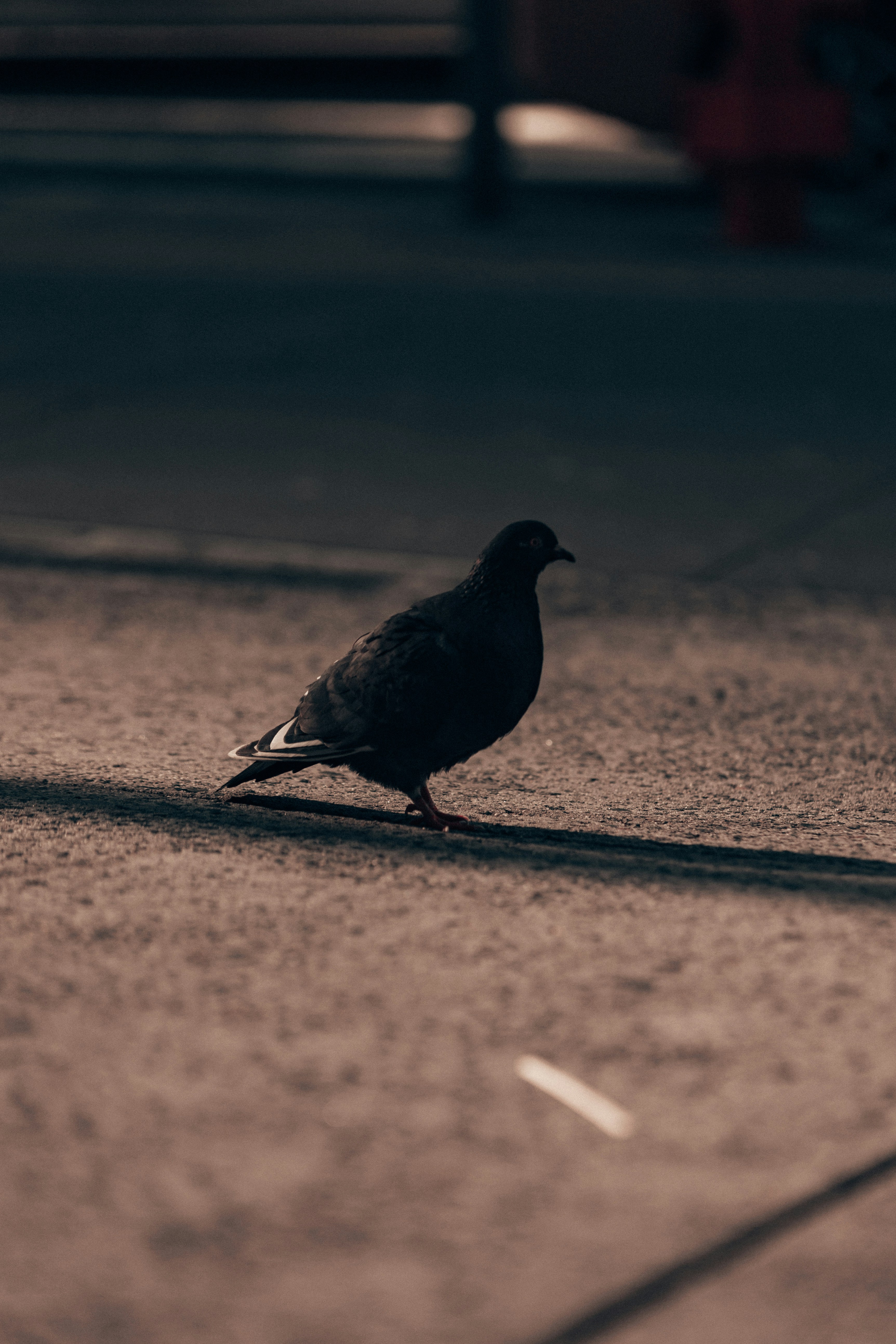 Photo by andrew_creative