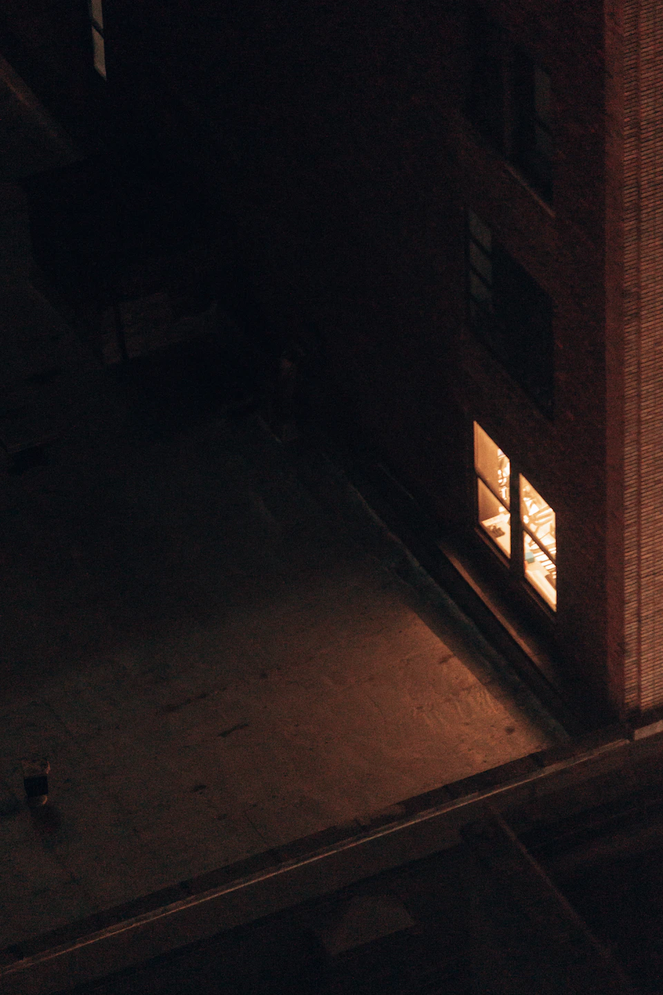 Two people stand on a rooftop with an illuminated brick building behind them