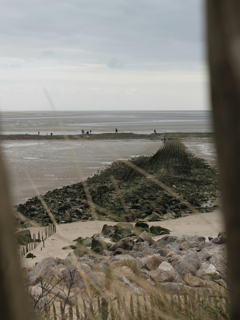 um grupo de pessoas em pé em cima de uma praia de areia