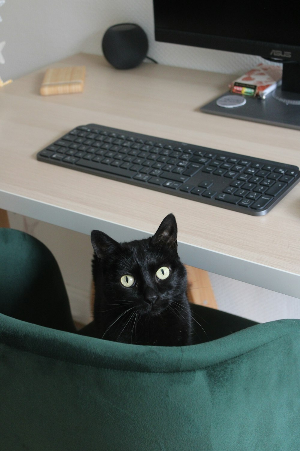a black cat sitting in a green chair under a computer desk