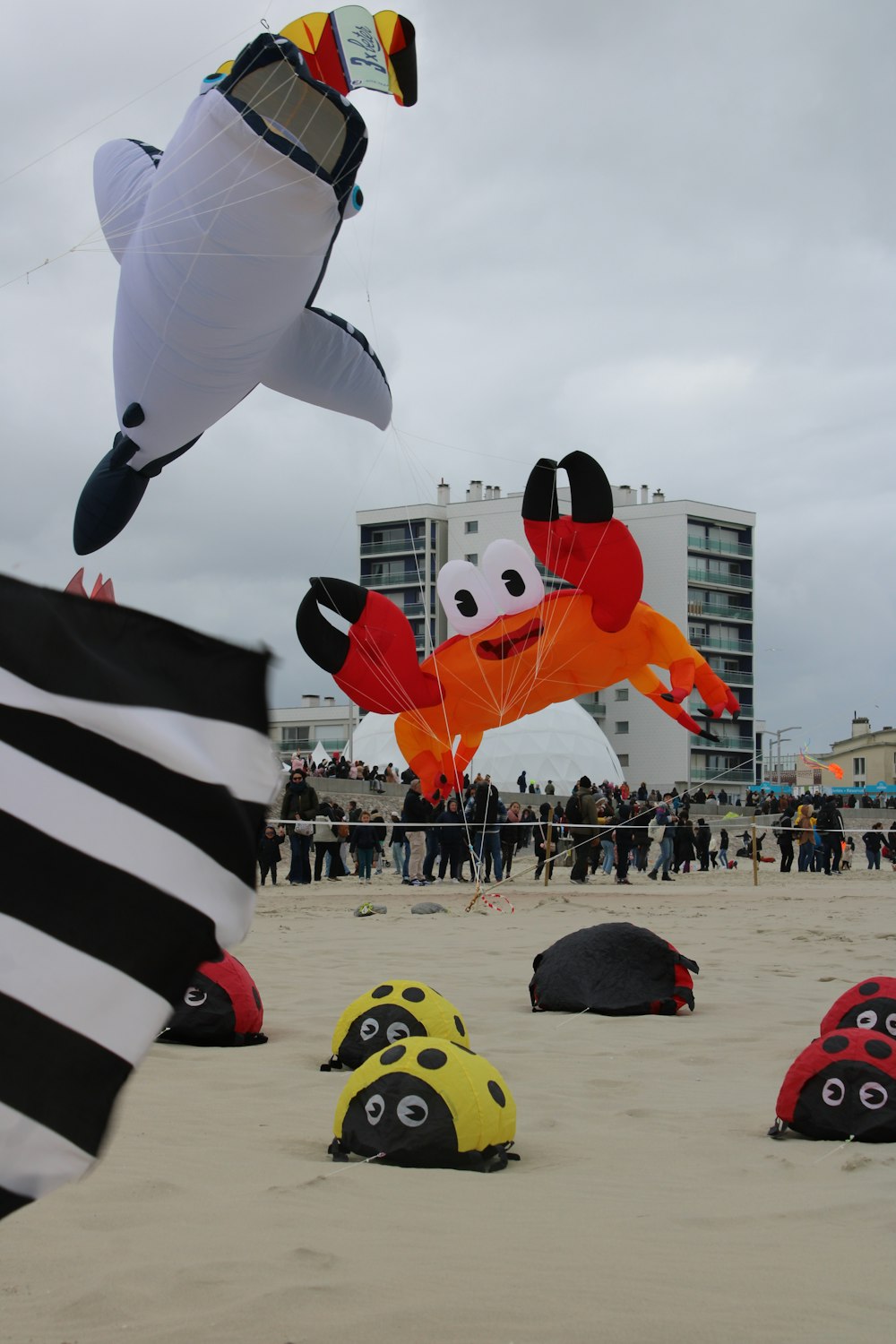 a group of people on a beach flying kites