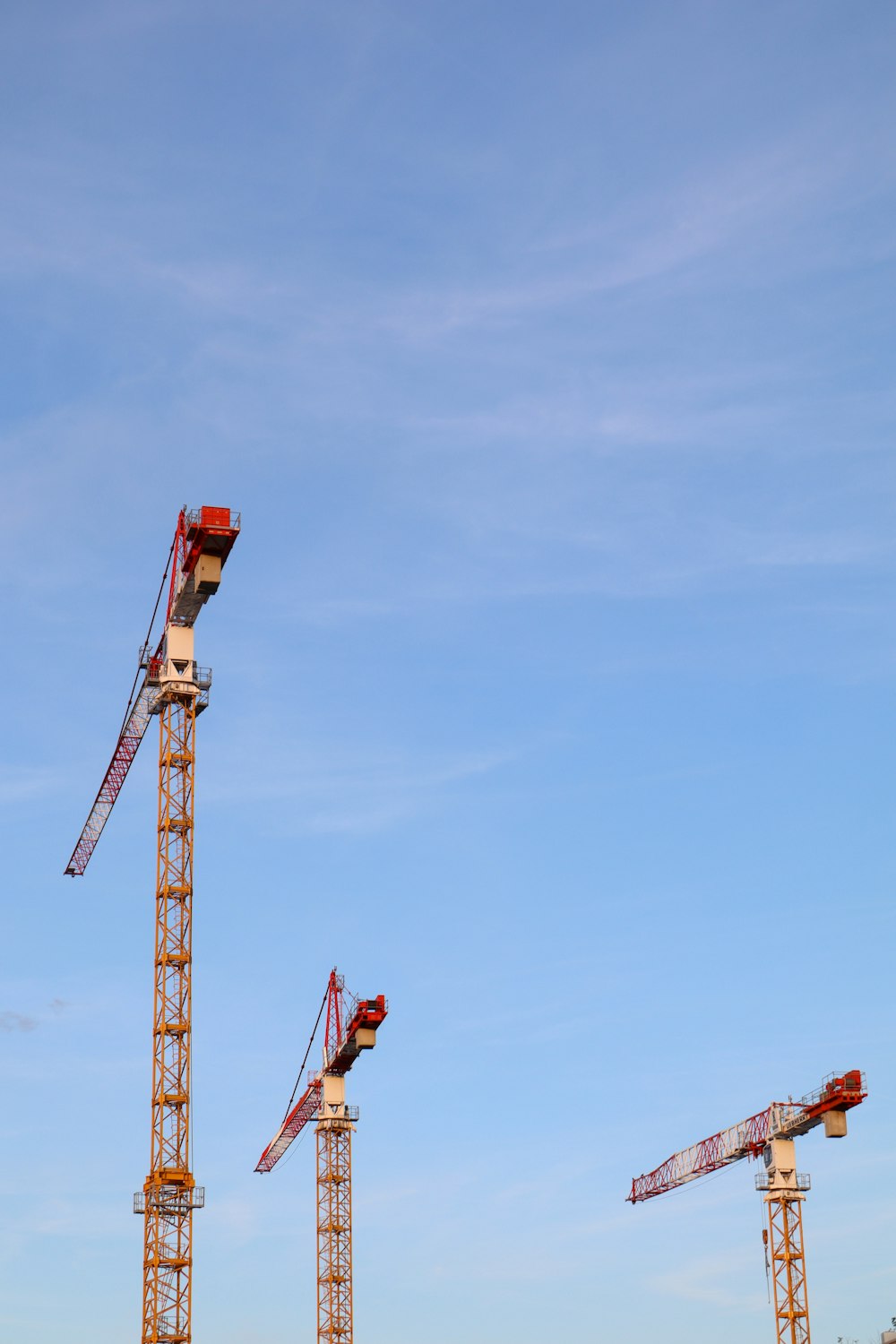 a group of cranes sitting next to each other on top of a field