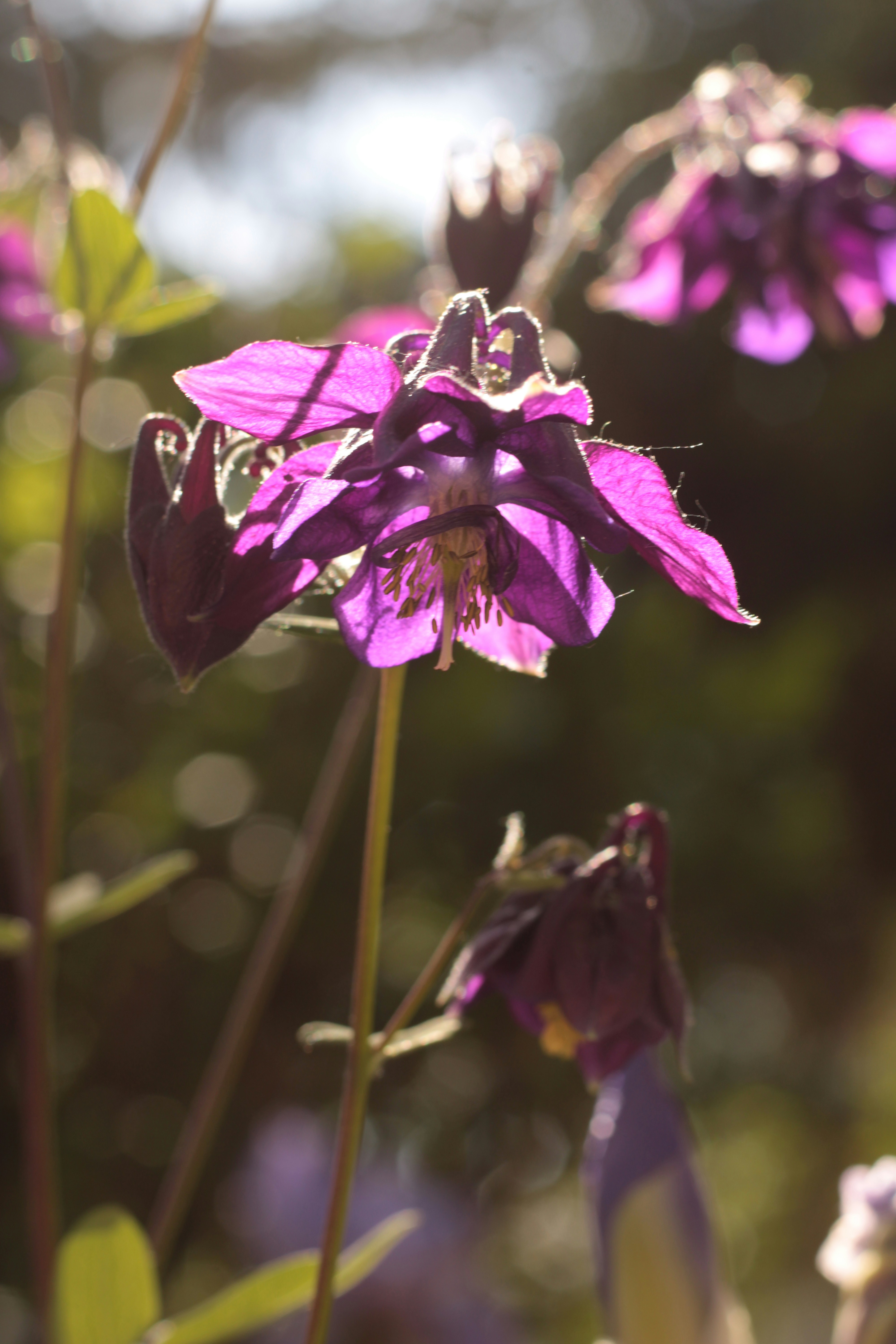 Photo by thorai9akira