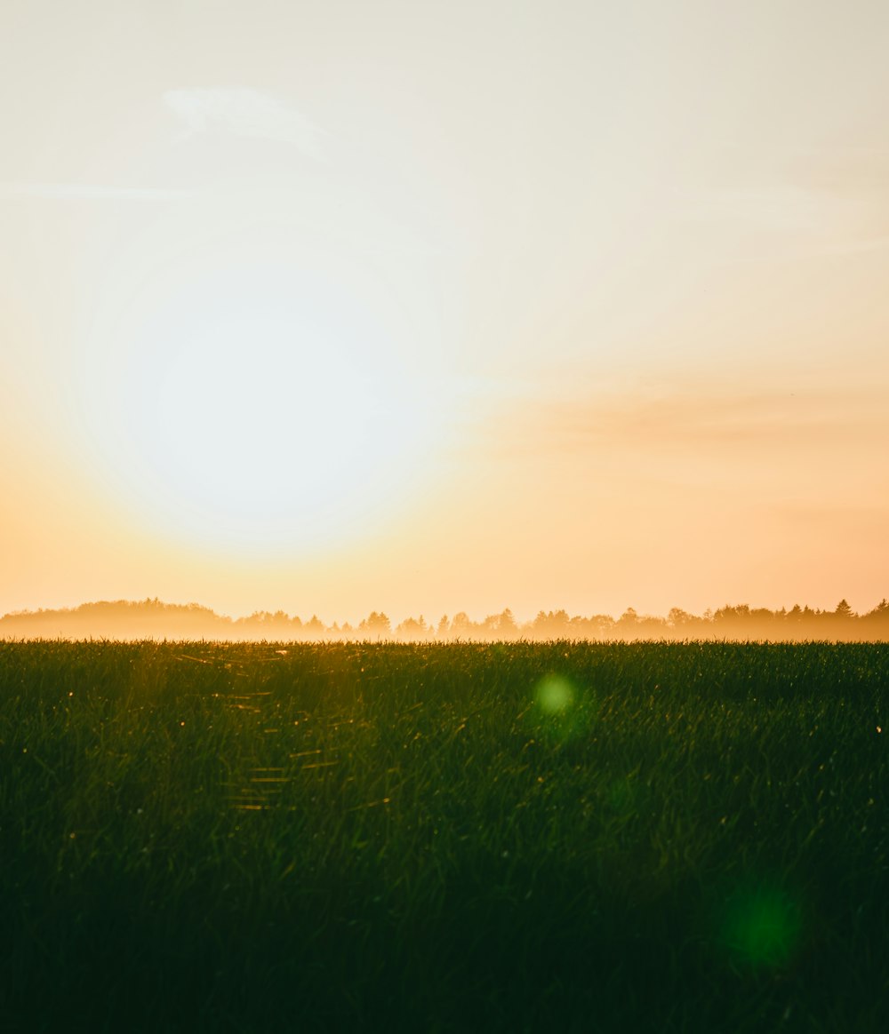 une personne à cheval dans un champ au coucher du soleil