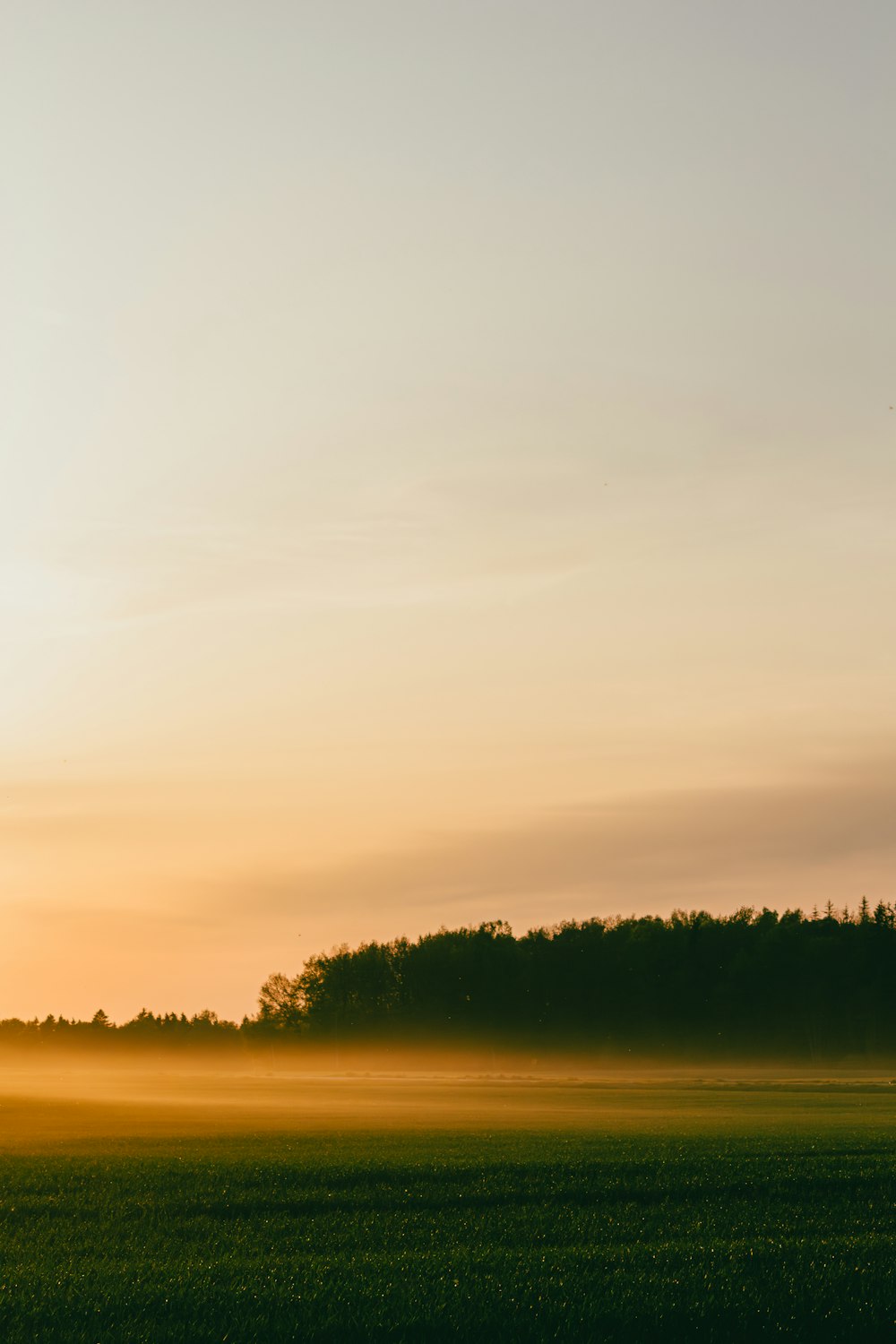 a person flying a kite in a field at sunset