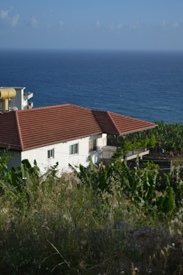 a white house with a brown roof near the ocean
