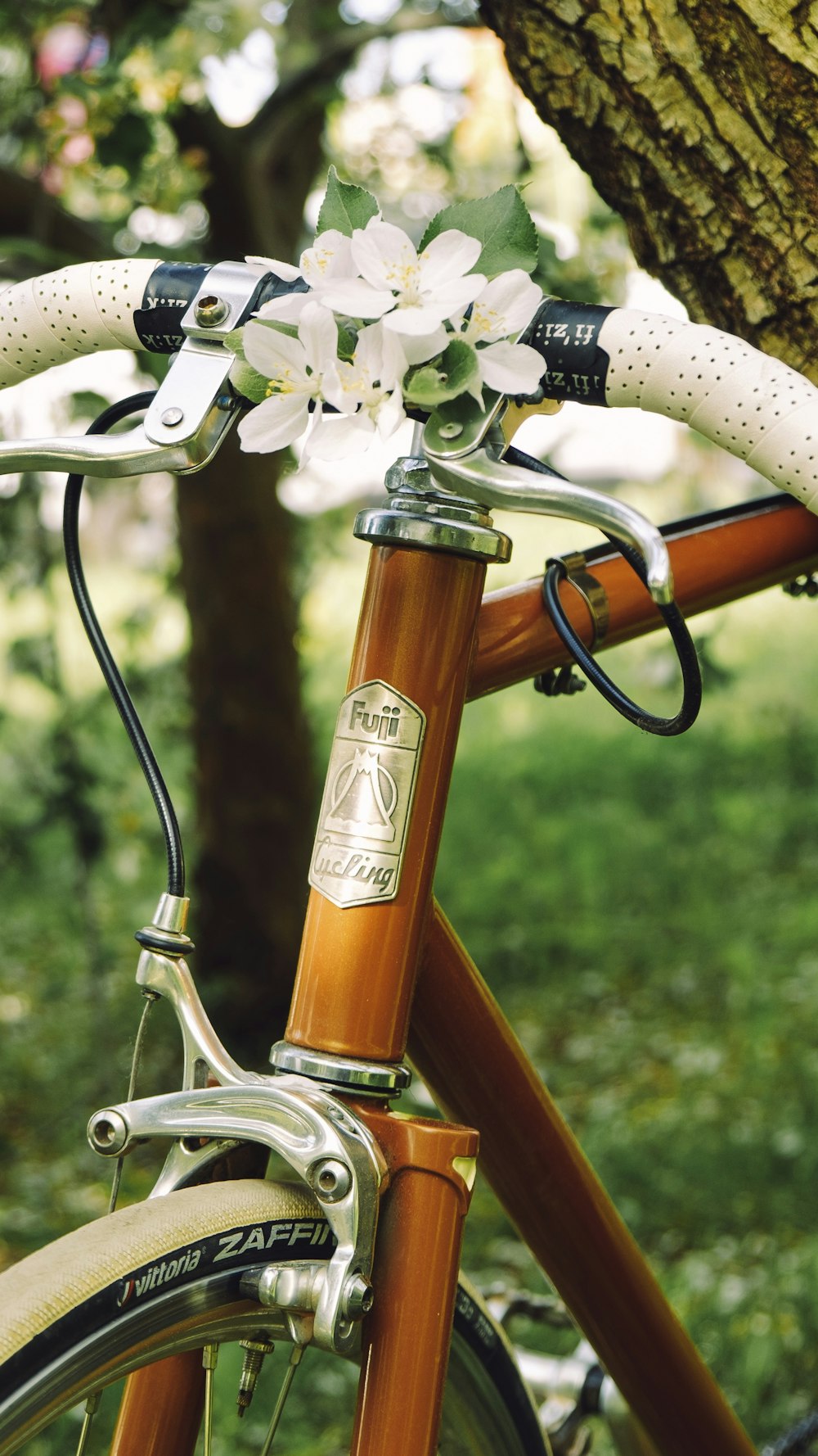 a close up of a bicycle with flowers on the handlebars