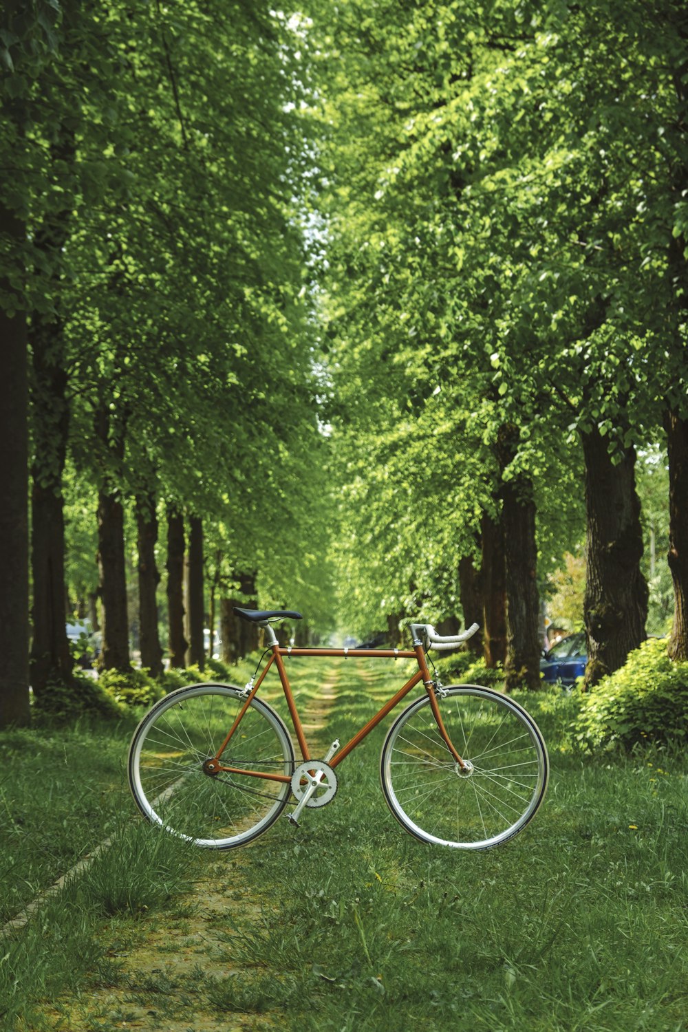 a bike parked on the side of a dirt road