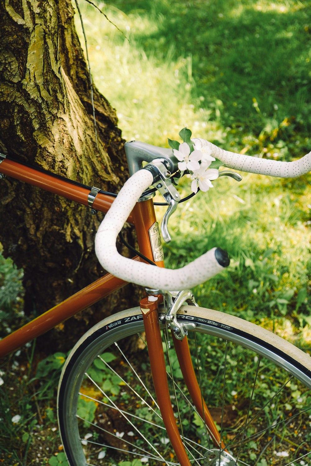 a close up of a bike parked next to a tree