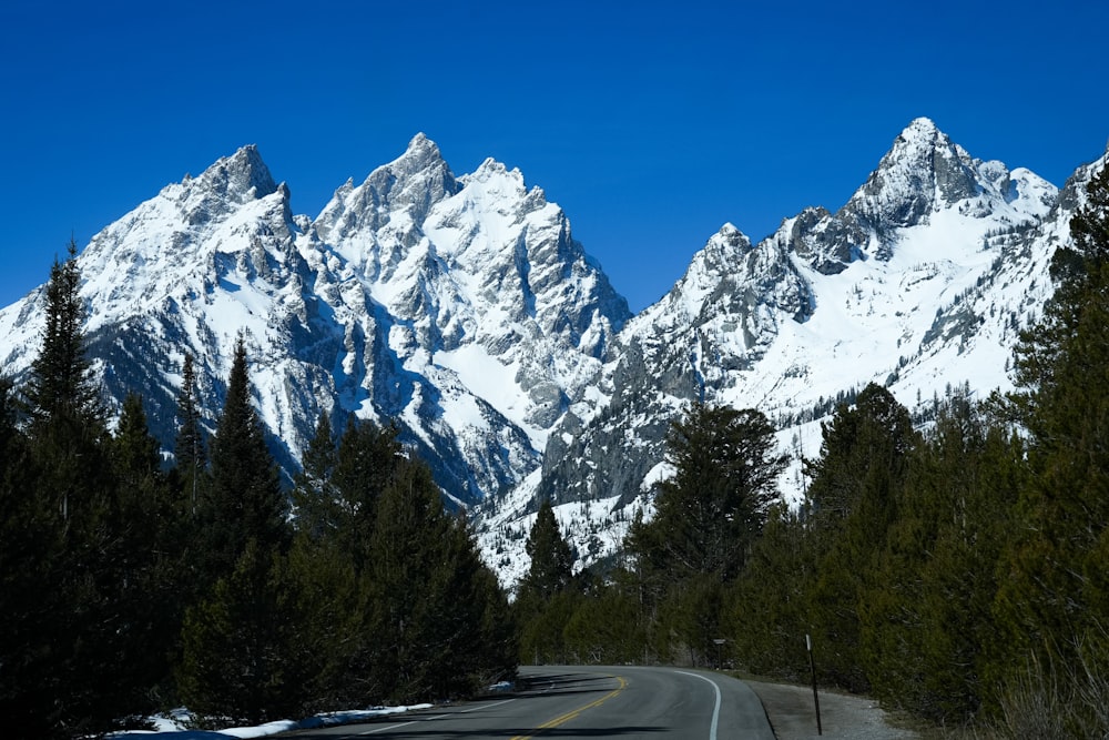 uma estrada com montanhas cobertas de neve ao fundo
