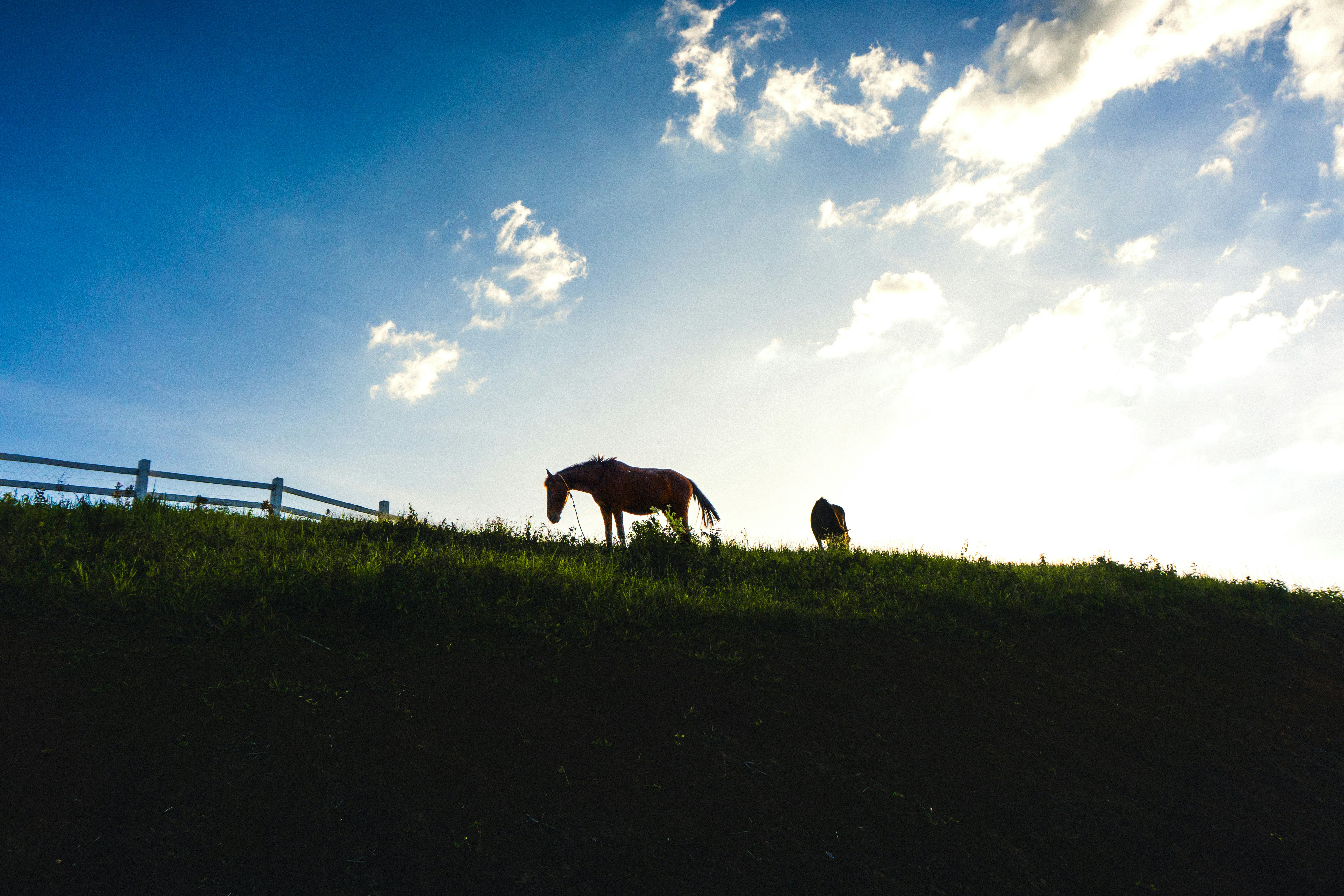 Photo by operationskyshield