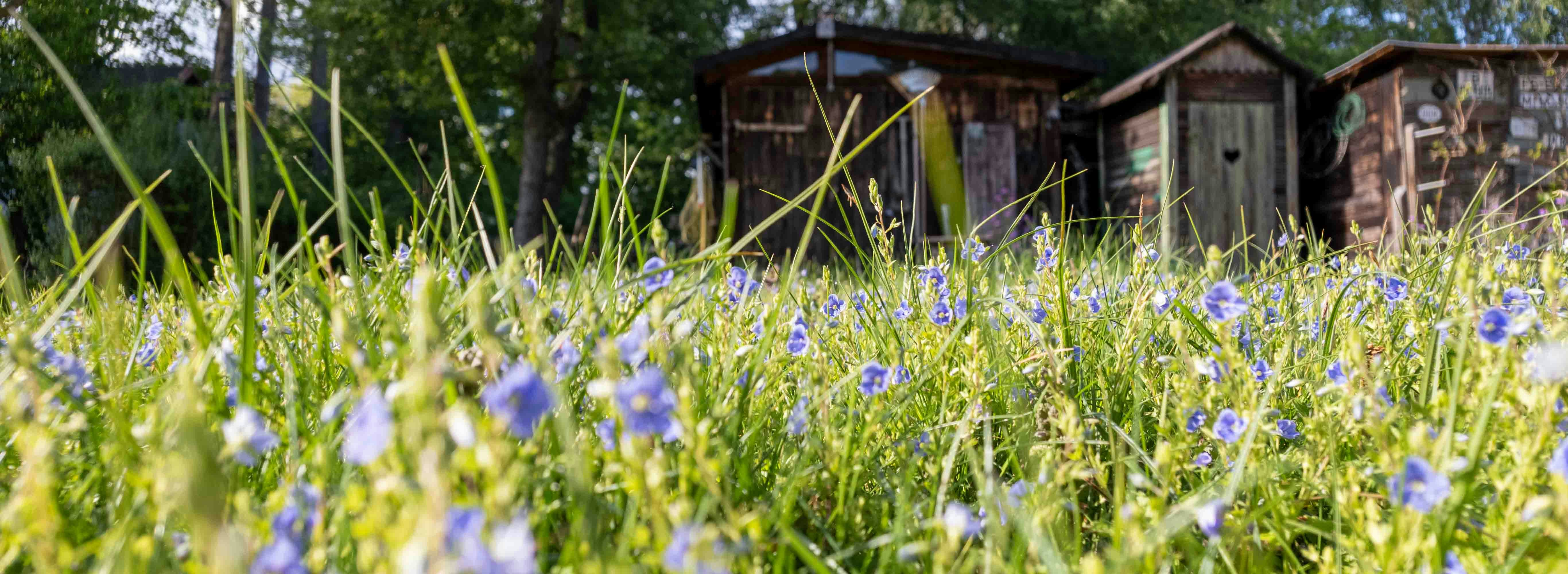 a group of outhouses sitting next to each other on a lush green field