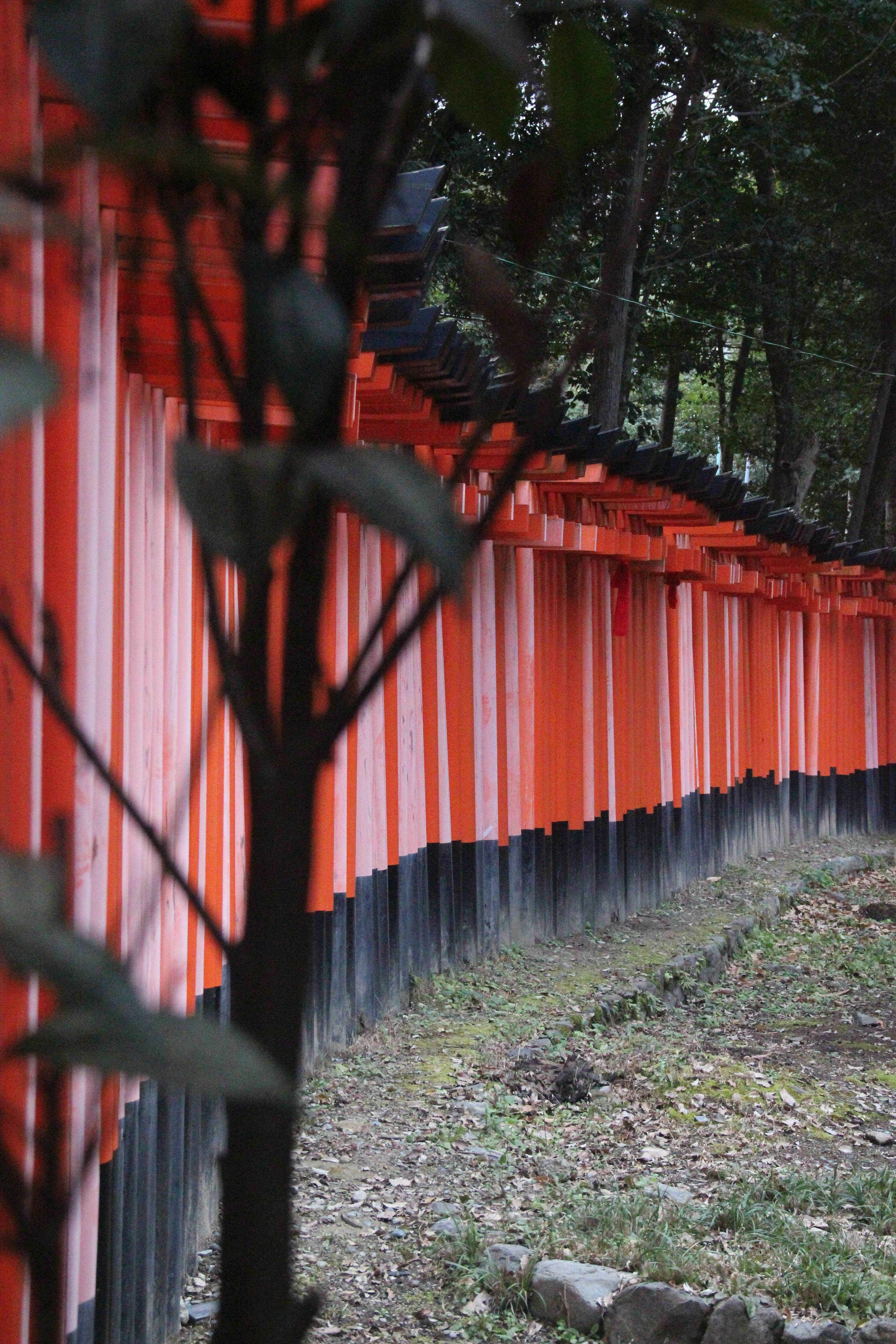 a row of orange gates in a park