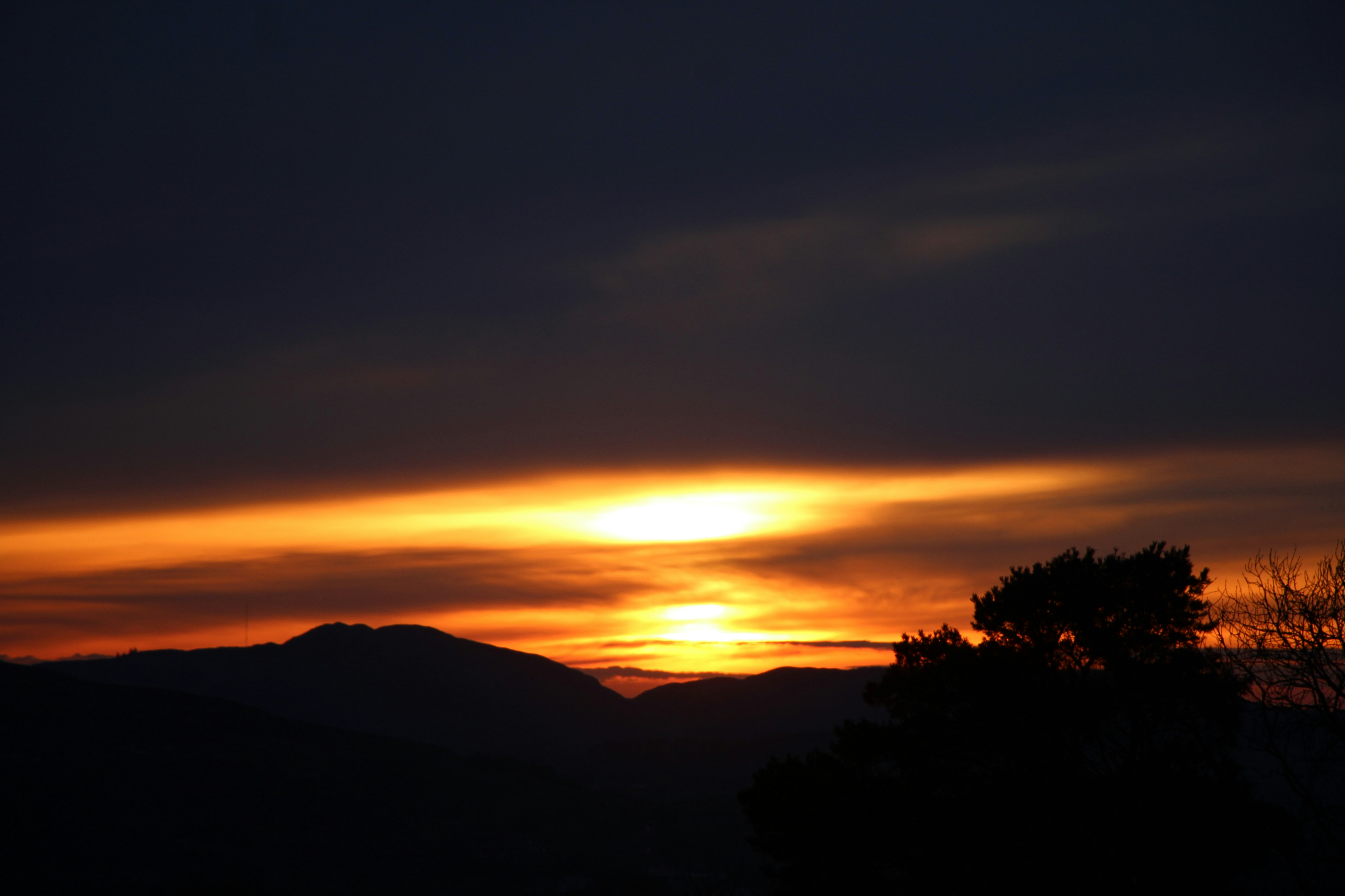 Photo by royalgold56