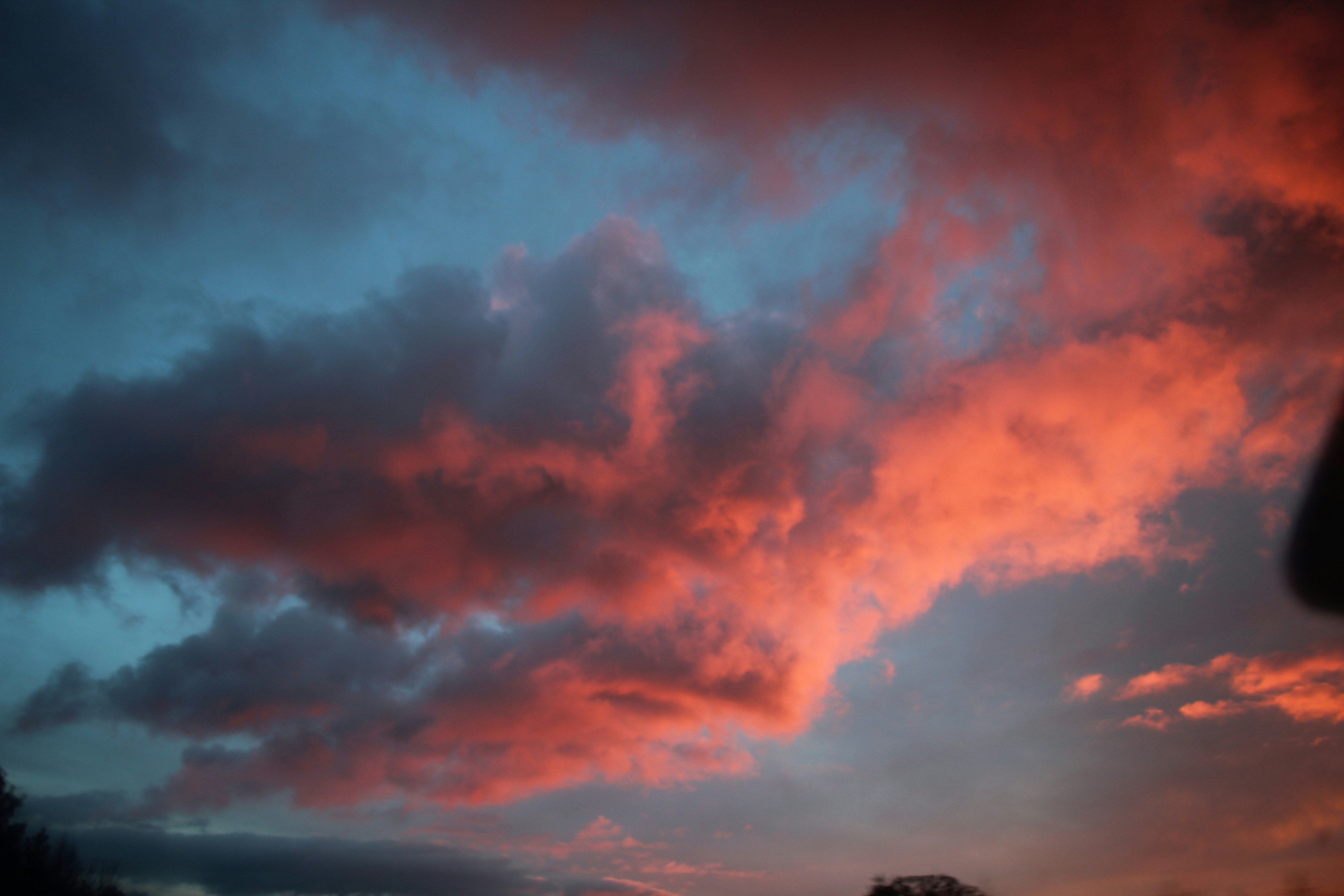 Photo by royalgold56