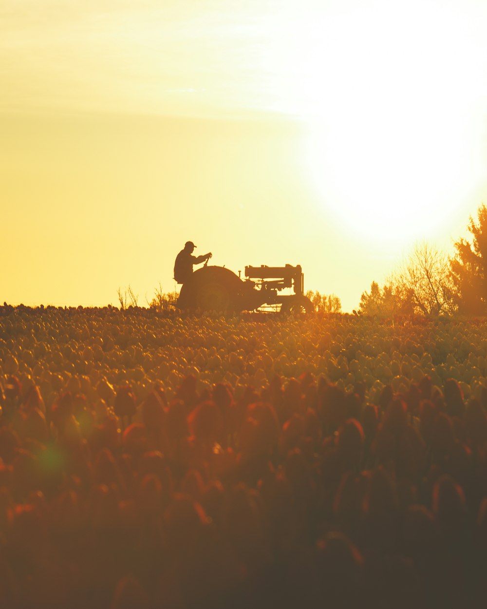 a person sitting on a bench in the middle of a field