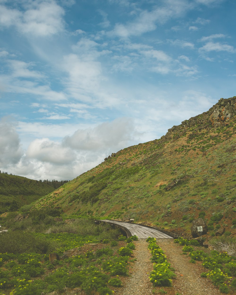 a dirt road in the middle of a lush green hillside