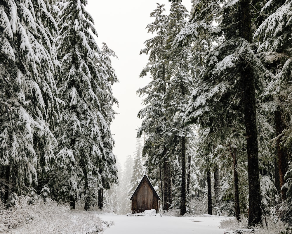 a small cabin in the middle of a snowy forest