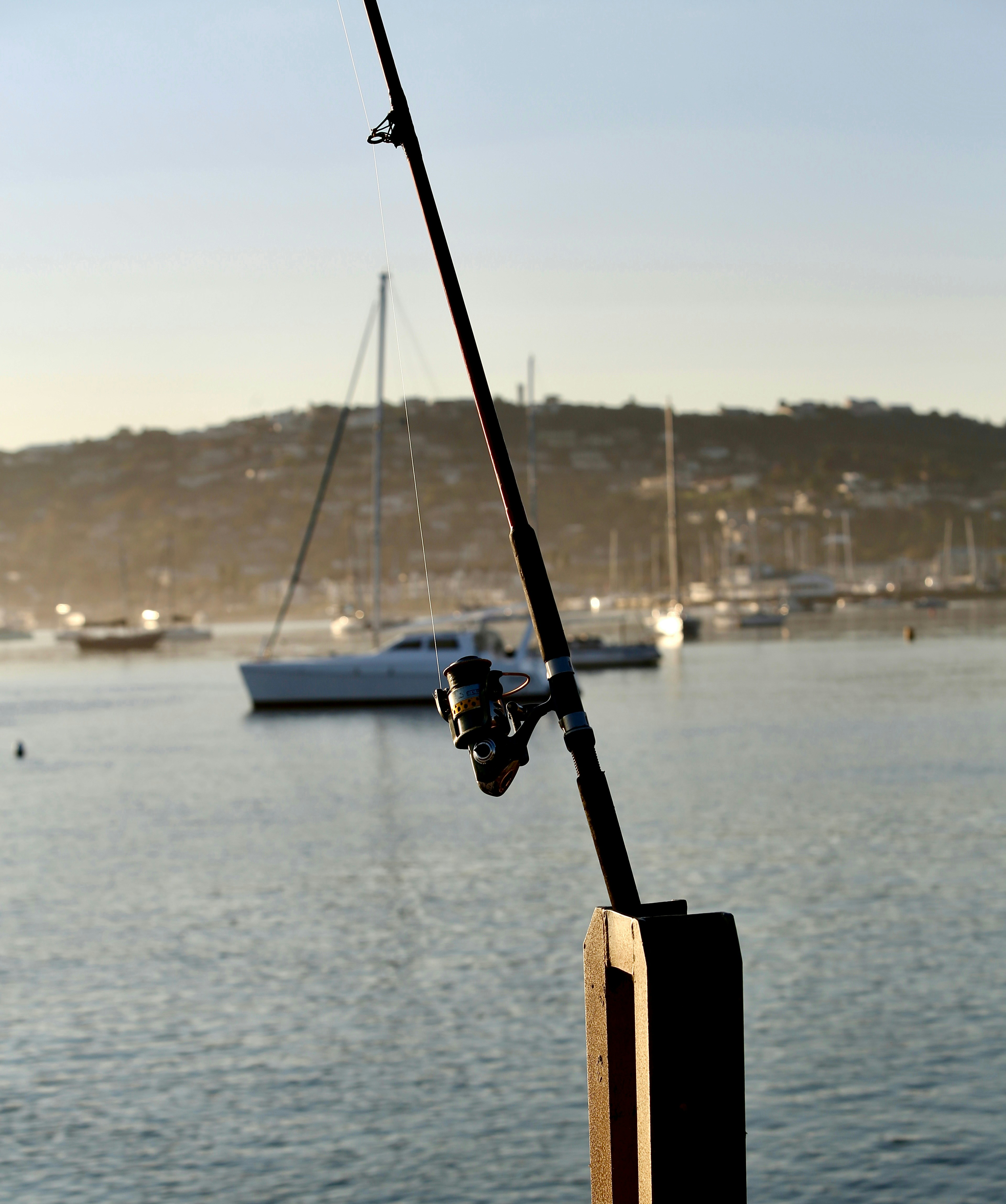 18 Premium Fishing Rods with Cutting-Edge Performance Features