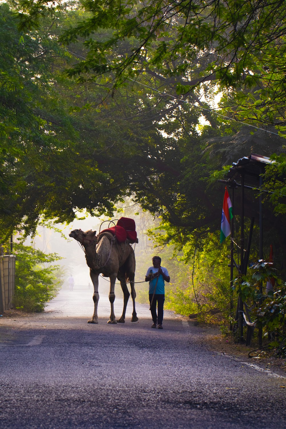 a man leading a camel down a dirt road