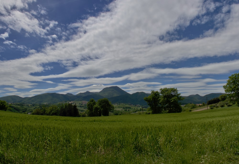 a grassy field with mountains in the distance
