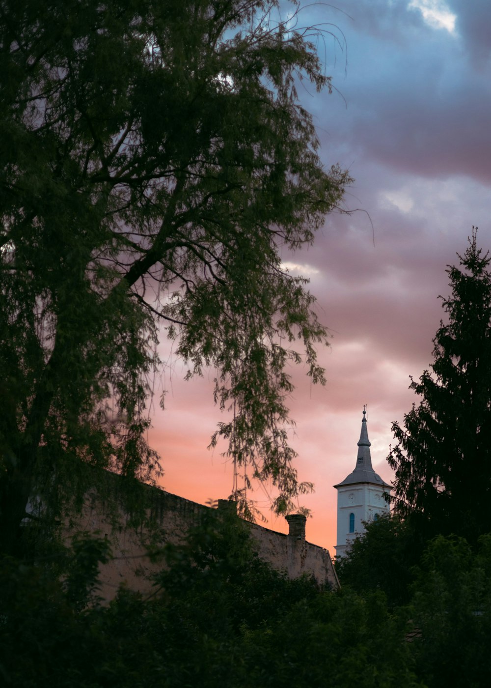 a clock tower is seen through the trees