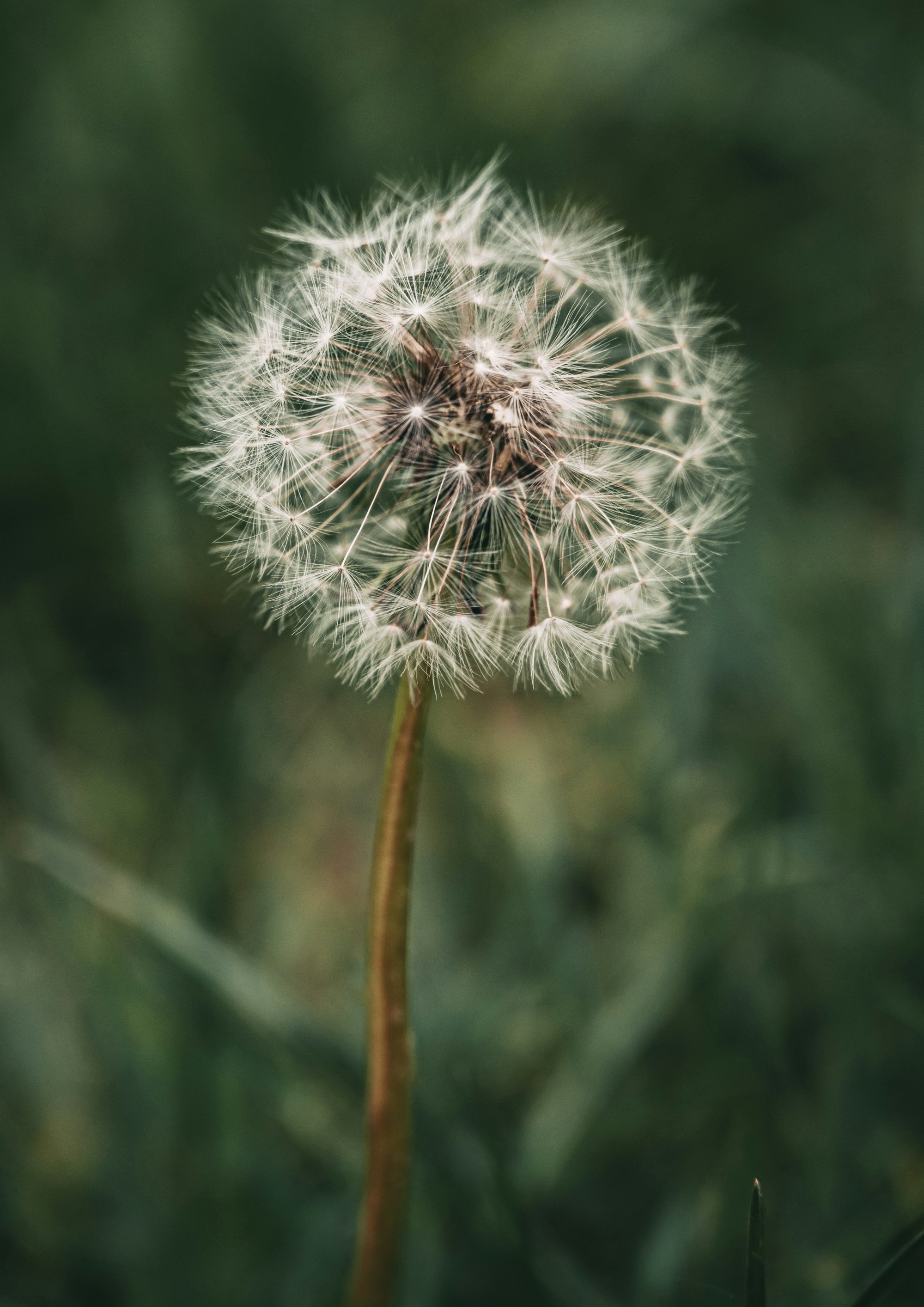 Photo by dontknowmusicc