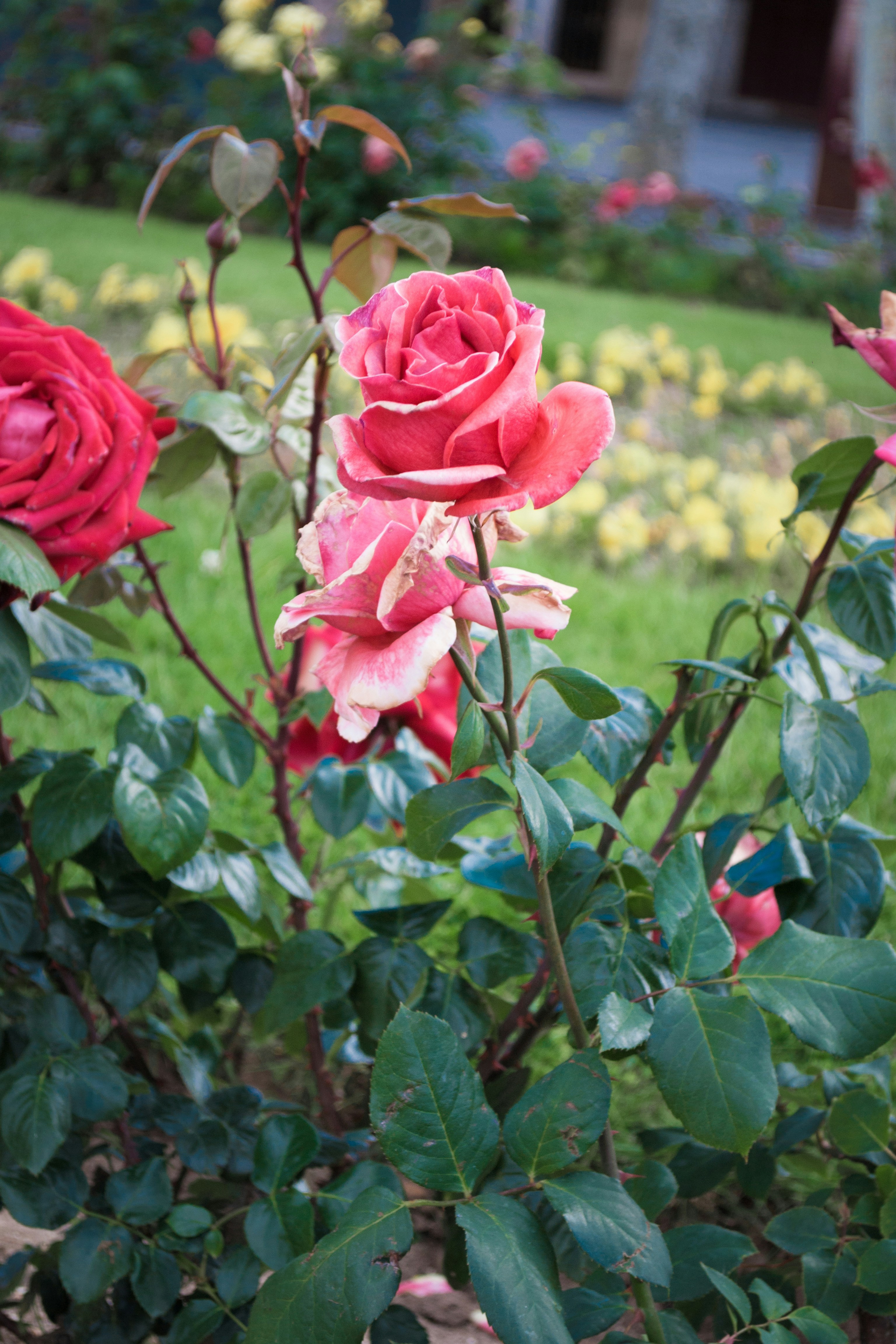 Photo by diseniatica