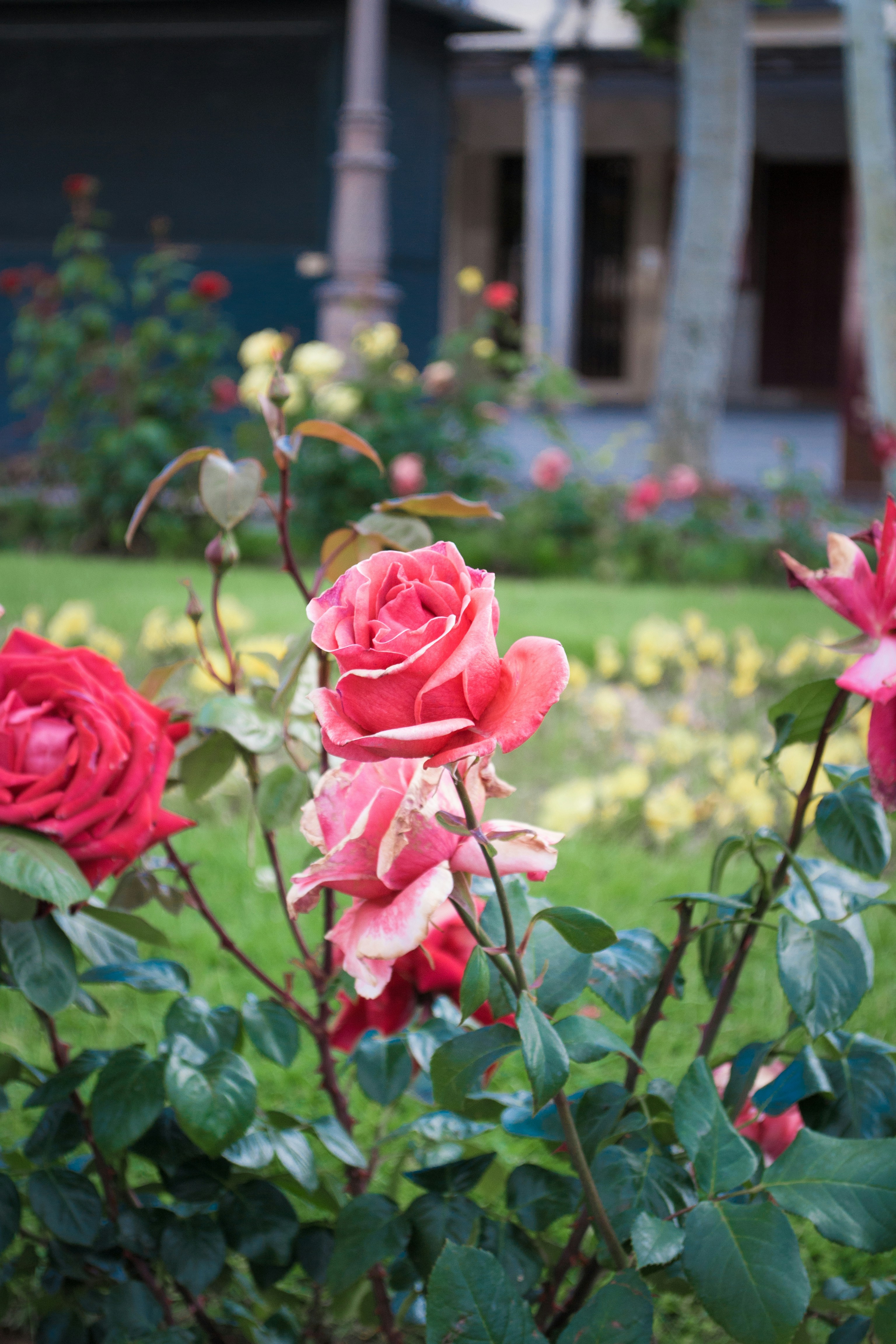 Photo by diseniatica