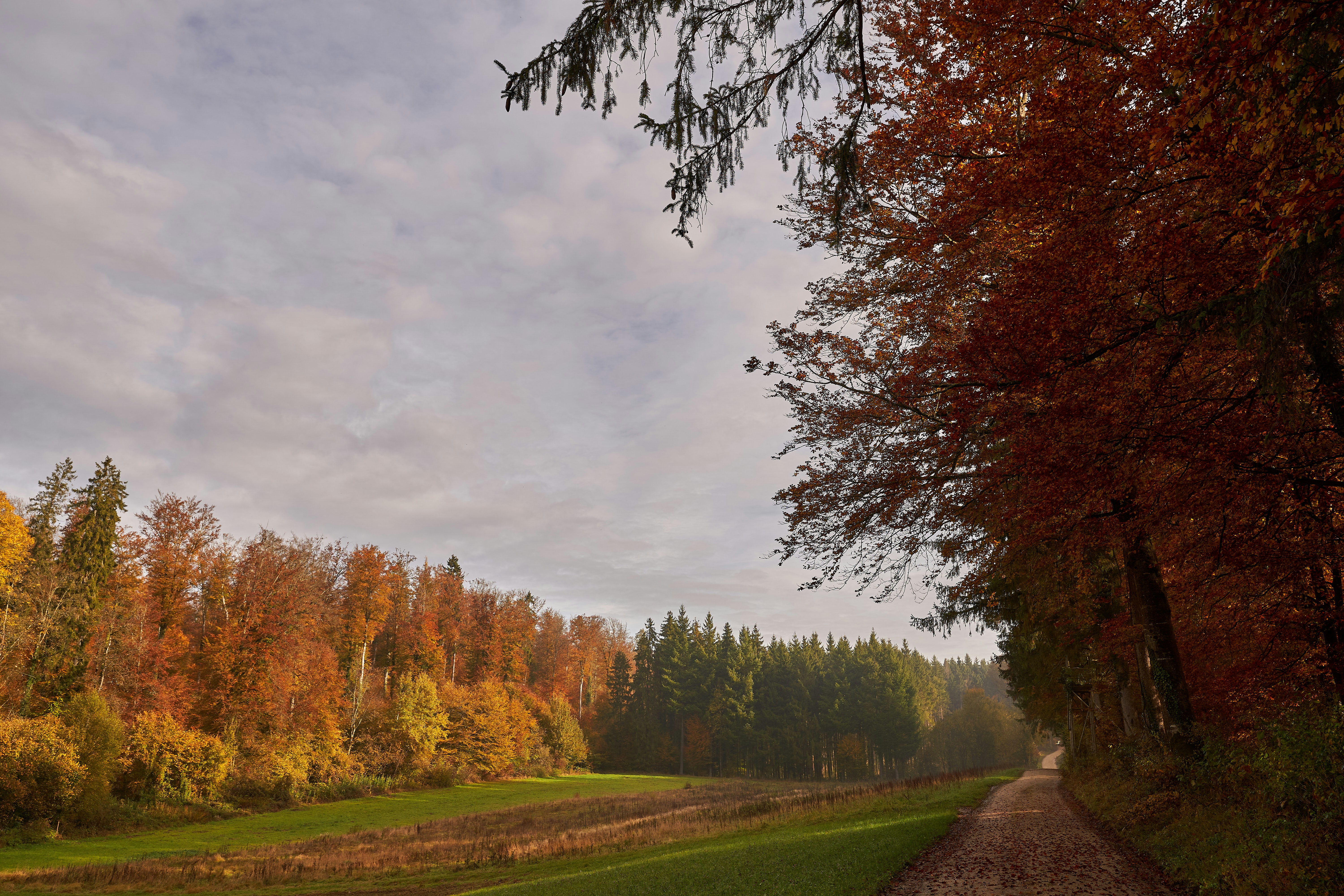 Image by Wolfgang Hasselmann via Unsplash