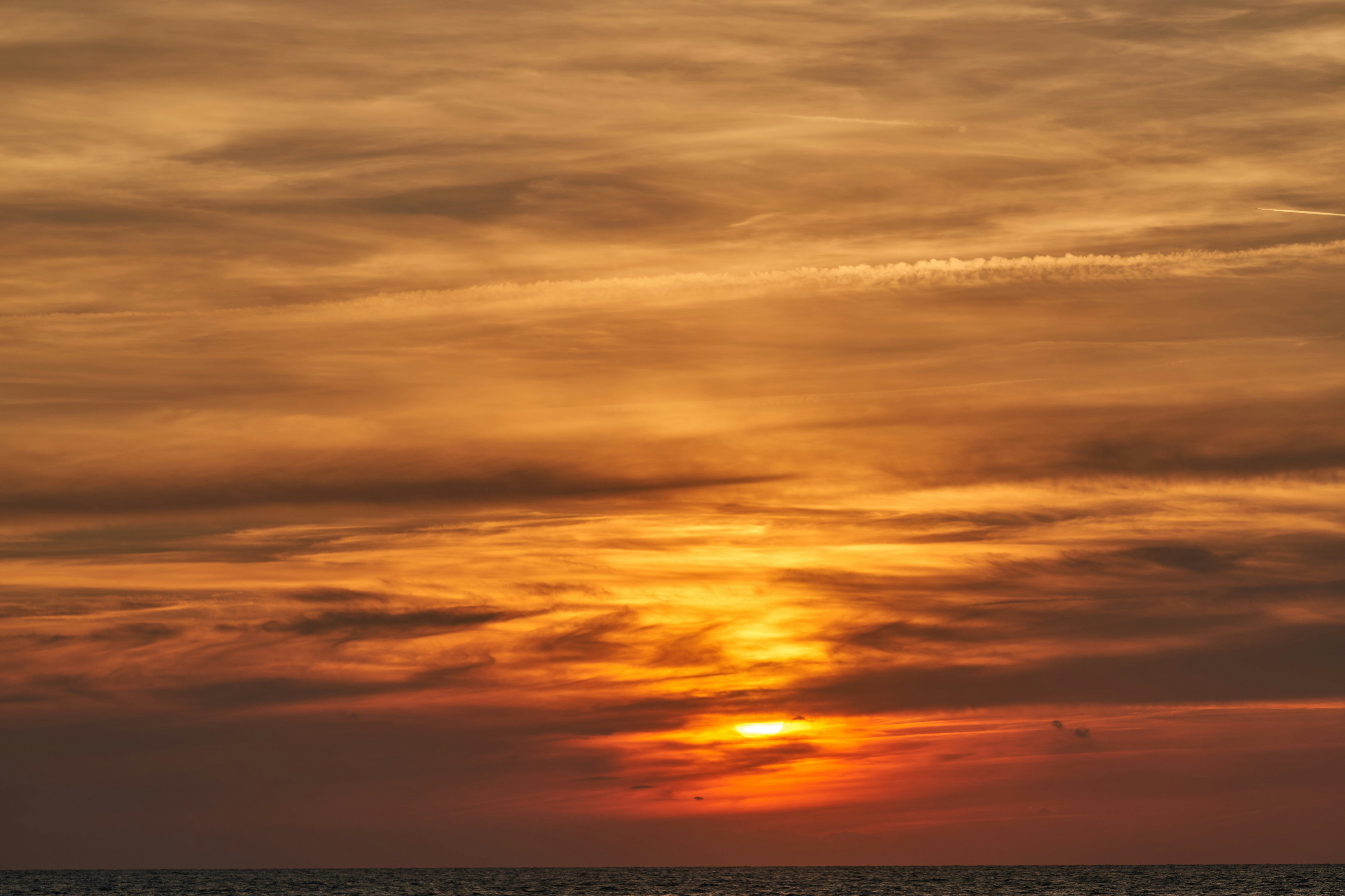 Photo by wolfgang_hasselmann